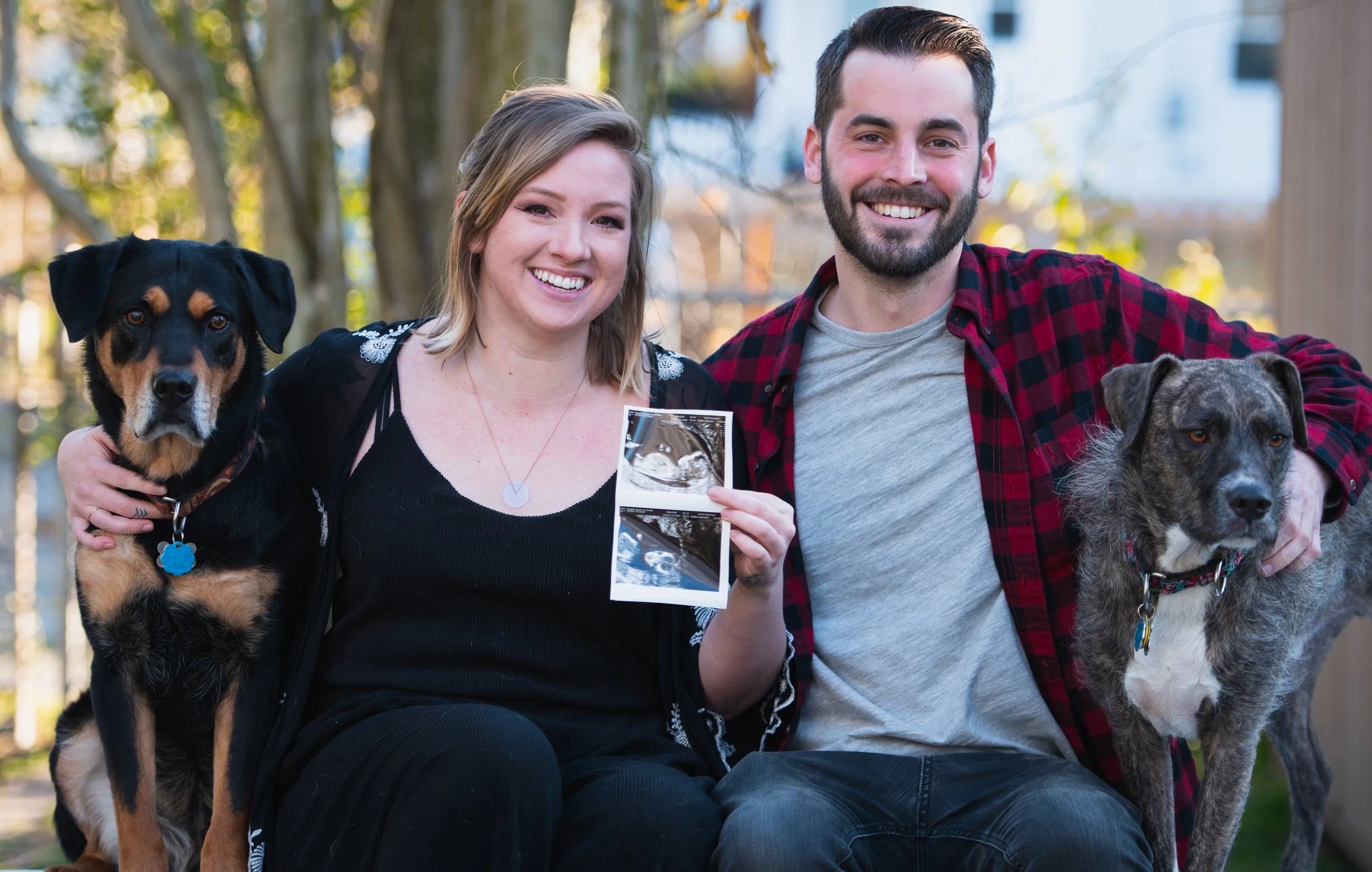 A smiling couple with two dogs outdoors, holding ultrasound images indicating a pregnancy.