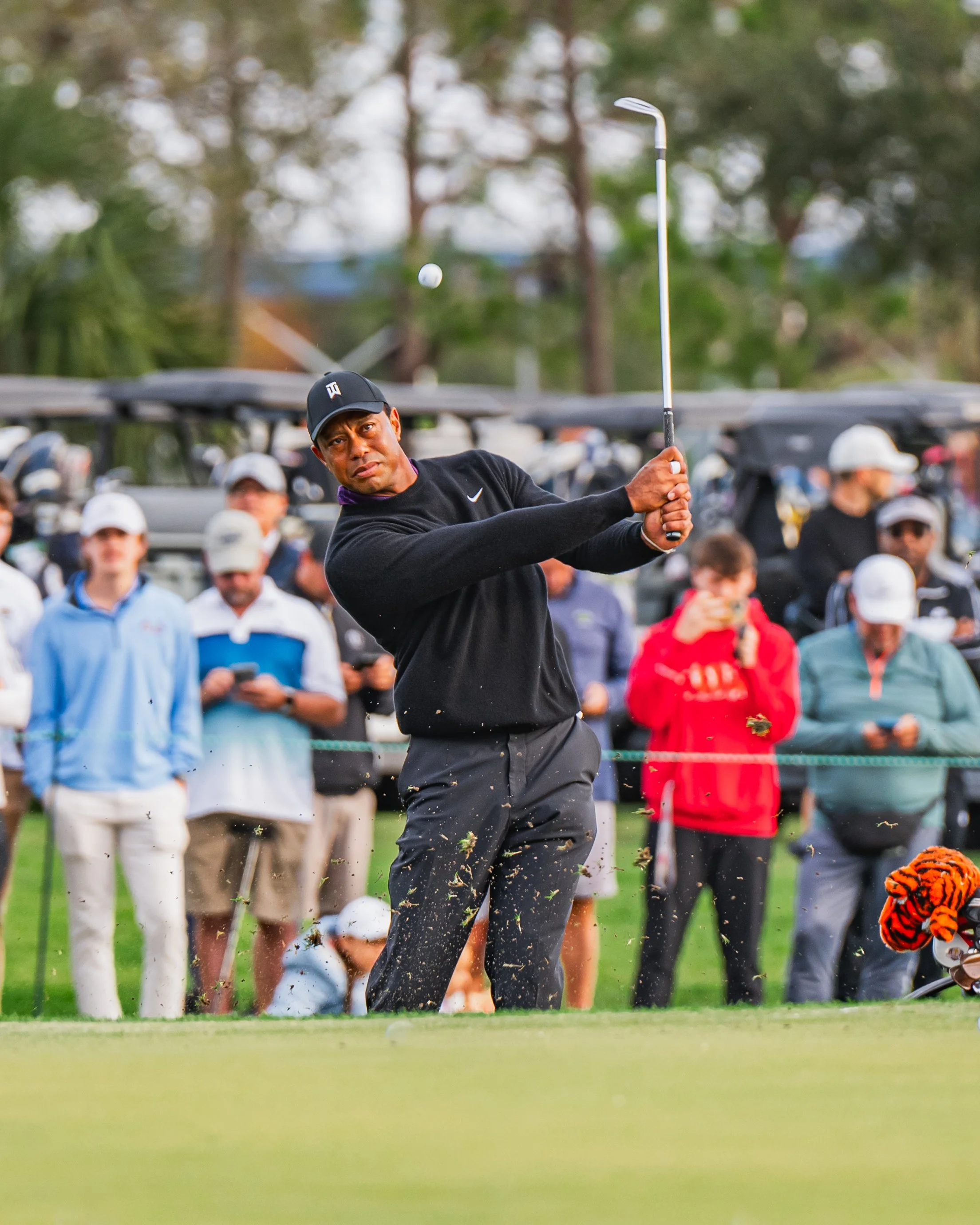 Tiger Woods swings a golf club, hitting a golf ball on a green. Spectators watch behind a rope, some wearing hats and jackets, with trees and golf carts in the background.