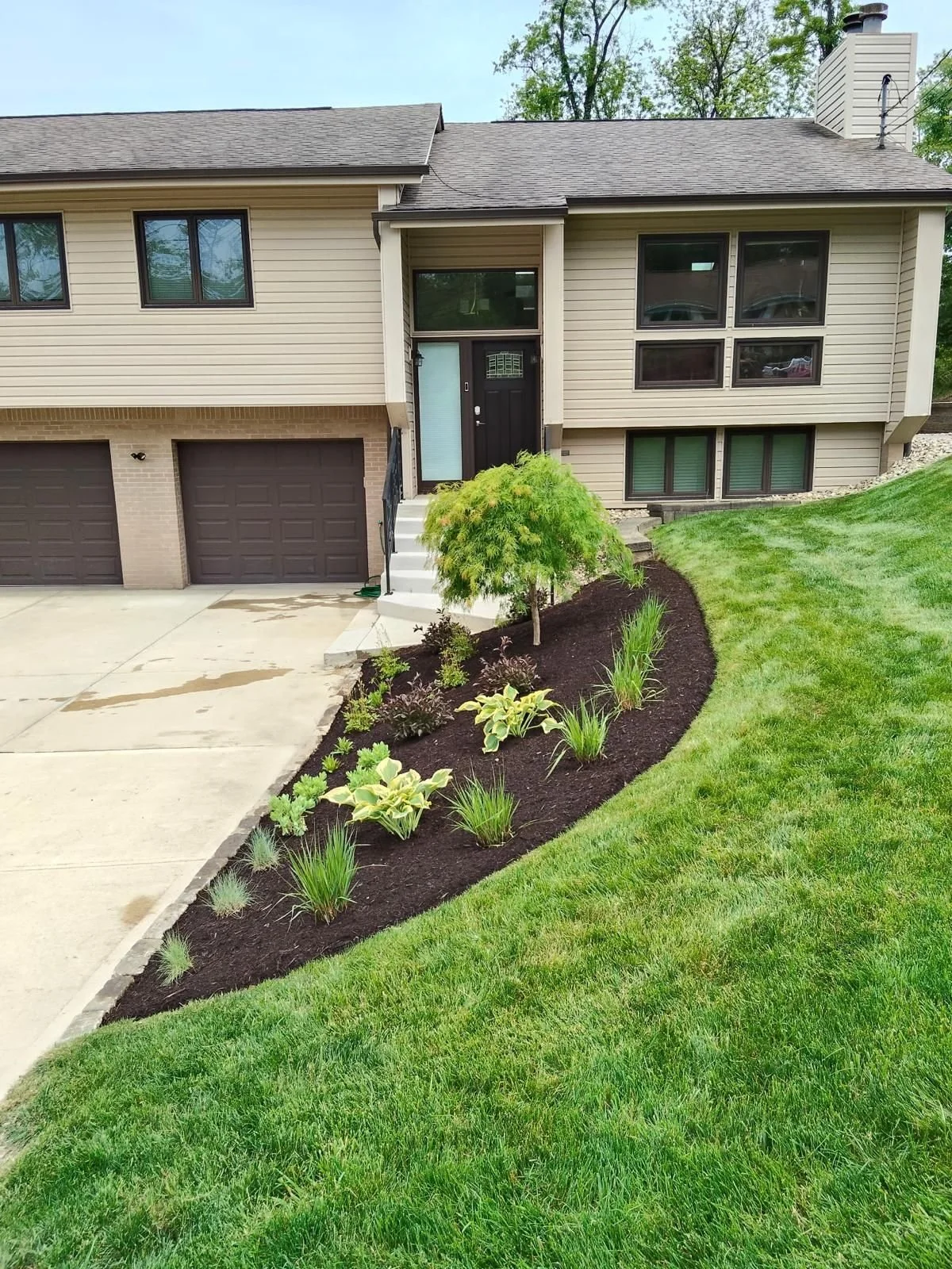 WhatsApp Image 2025-07-07 at 11.49.11_ded1107e.jpg