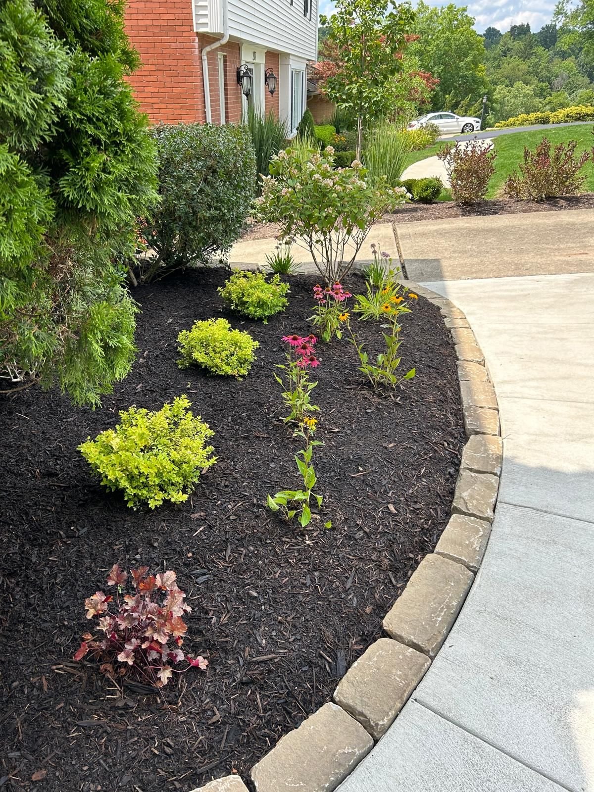 WhatsApp Image 2024-08-13 at 13.22.08_6fa865ec.jpg