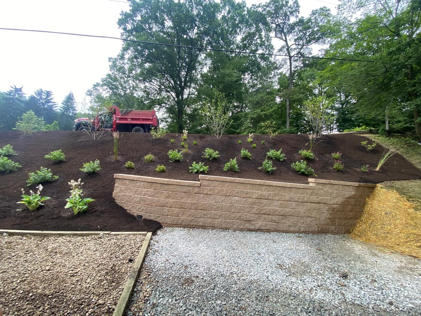 WhatsApp Image 2025-07-07 at 11.49.10_80b55866.jpg