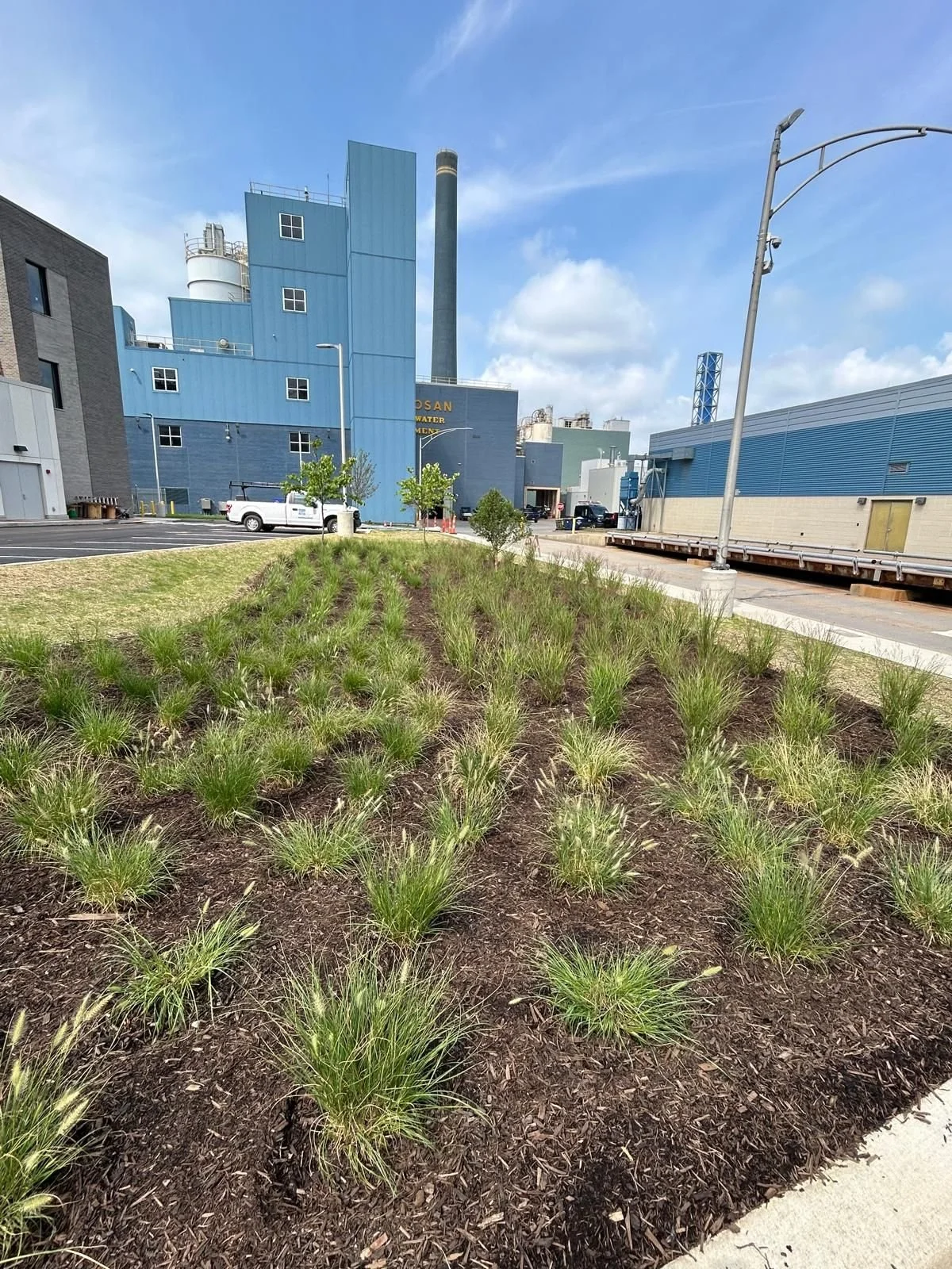 WhatsApp Image 2024-07-24 at 12.57.26_46537257.jpg