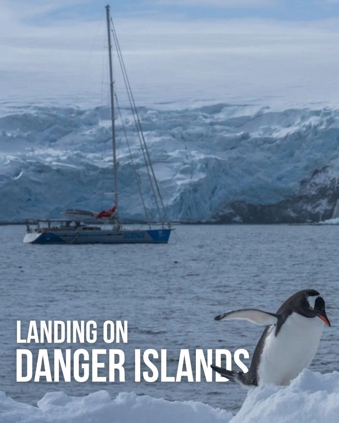 🐧 The Malizia Explorer has landed, we repeat, the Malizia Explorer has landed! 🐧

Over the weekend, our interdisciplinary team aboard the Malizia Explorer made a successful landing on the remote Danger Islands, part of the newly designated Antarcti