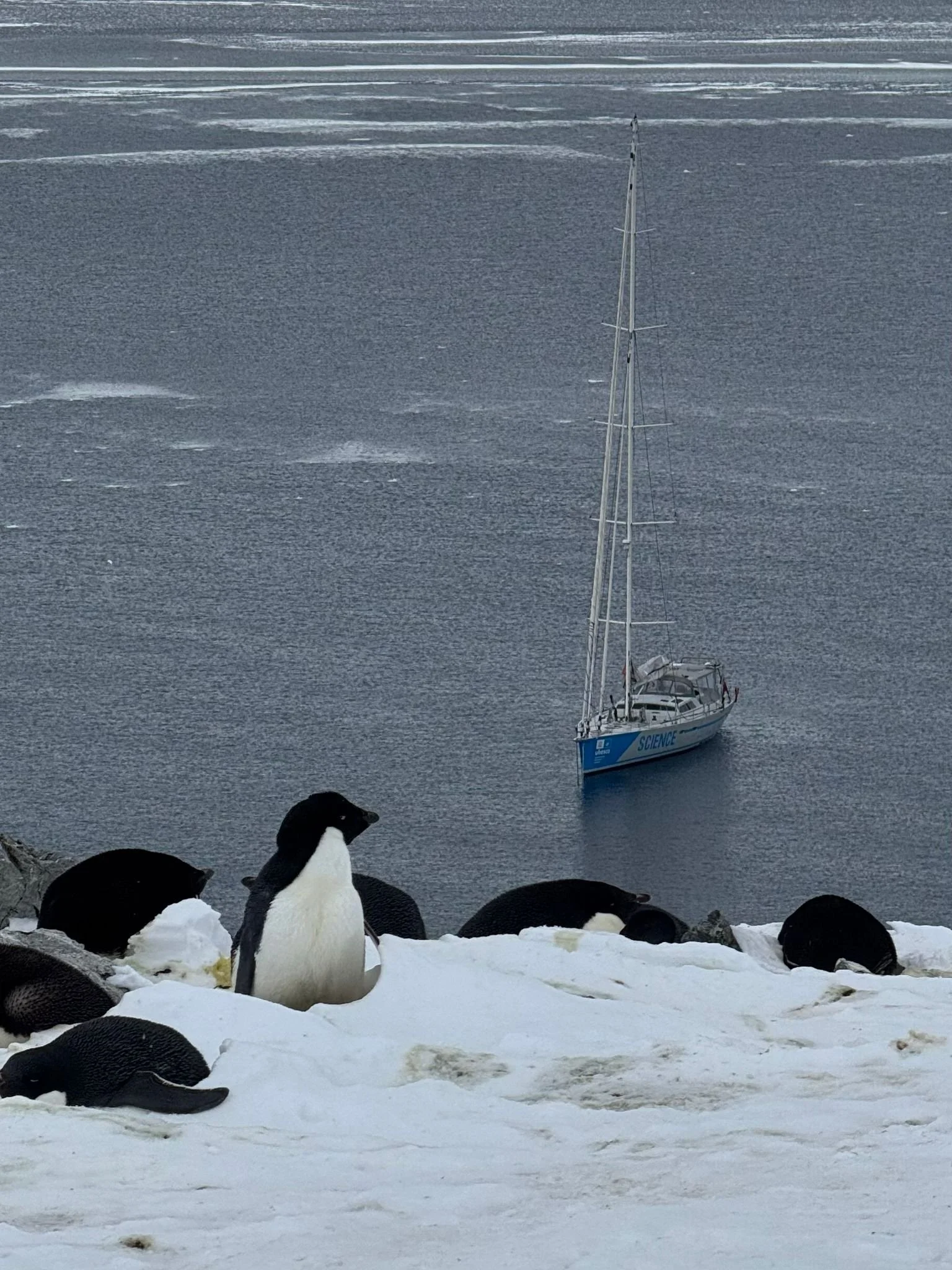 WhatsApp Image 2025-11-26 at 23 29 44.jpg