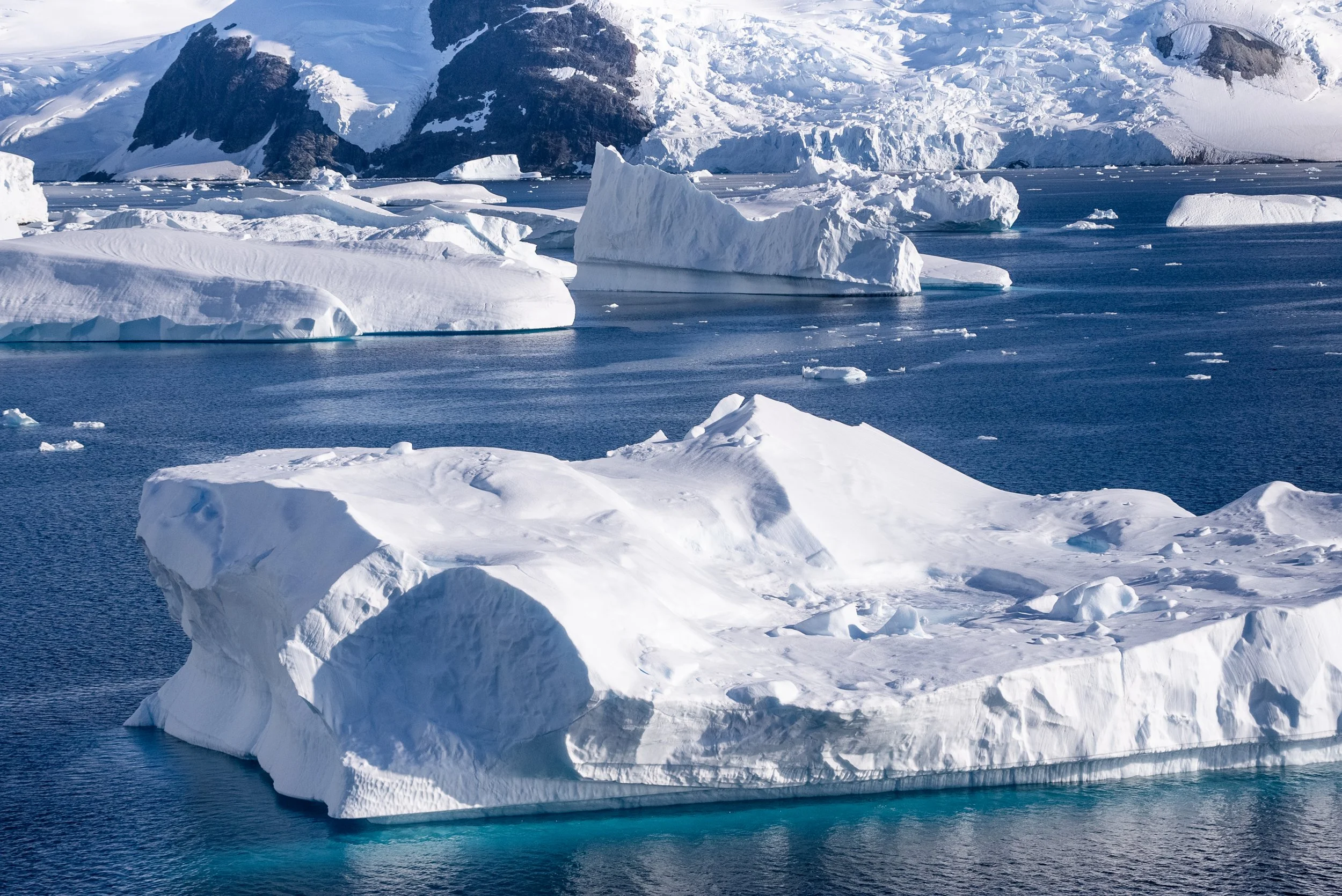 Arriving In Antarctica: When Earth Feels Like Another Planet