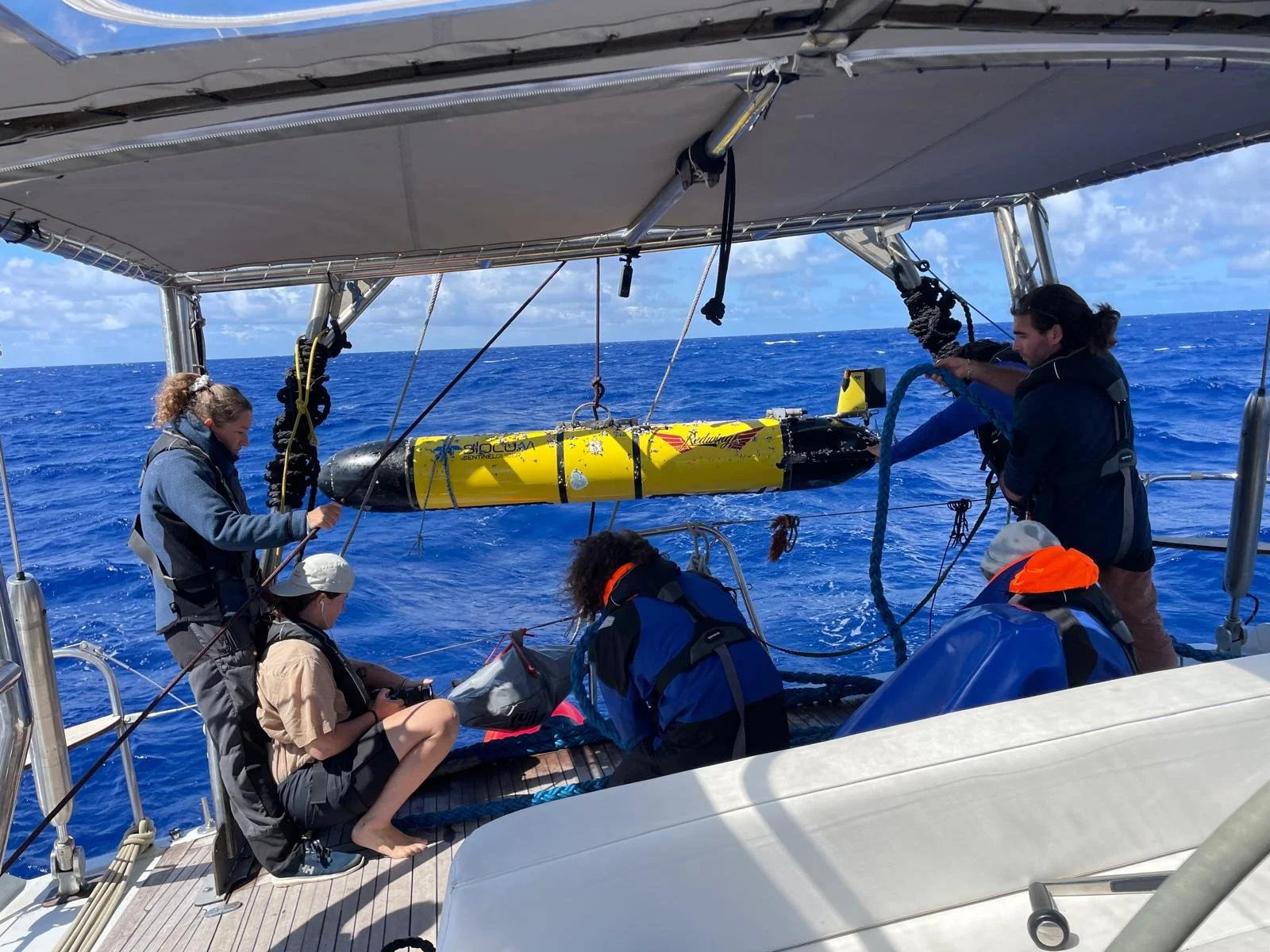 Redwing Recovery: How Malizia Explorer Contributed to a Global Collaboration Success Story in Ocean Observing