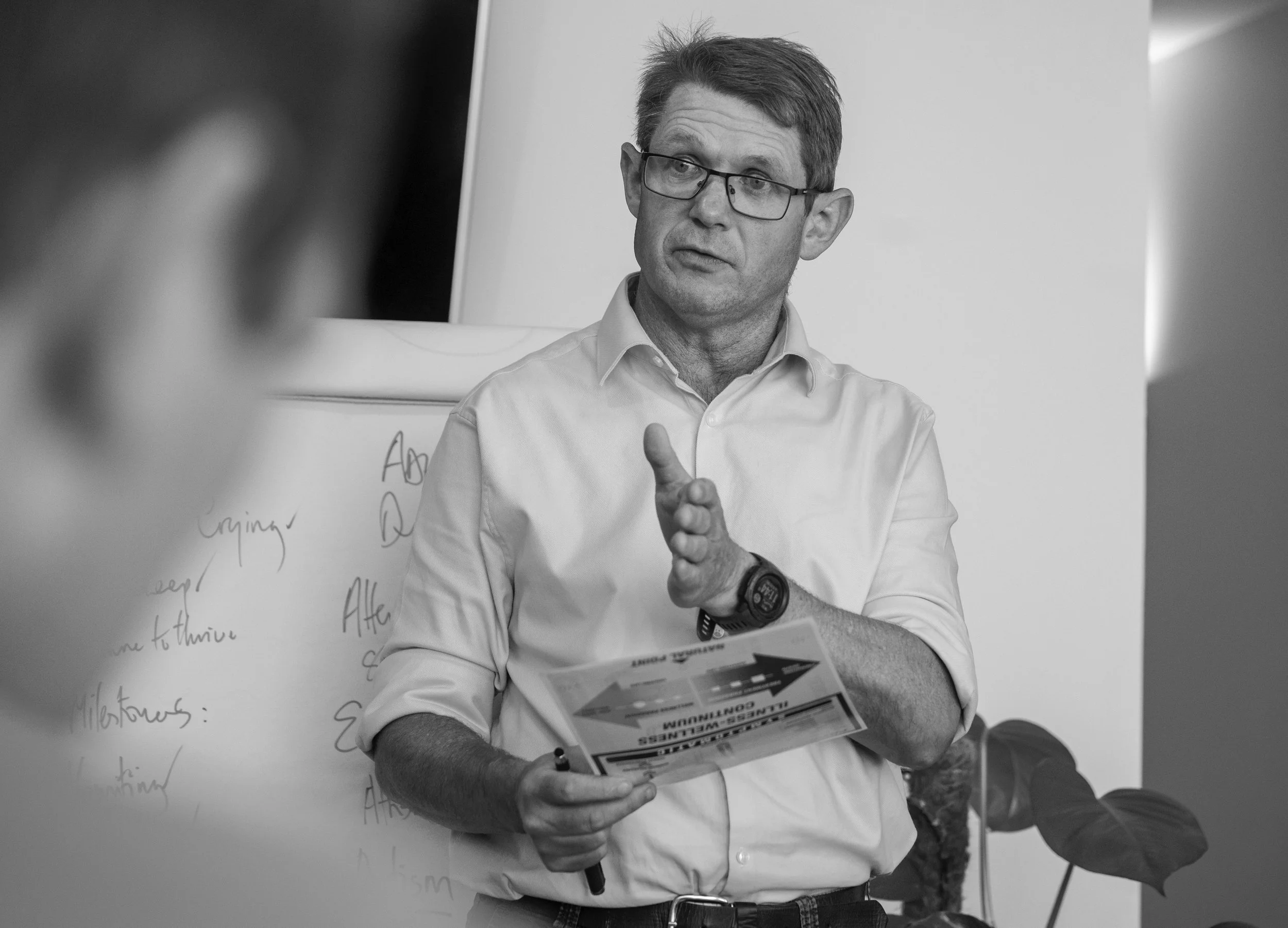 Brain Based Chiropractic: The Big Idea- Toulouse