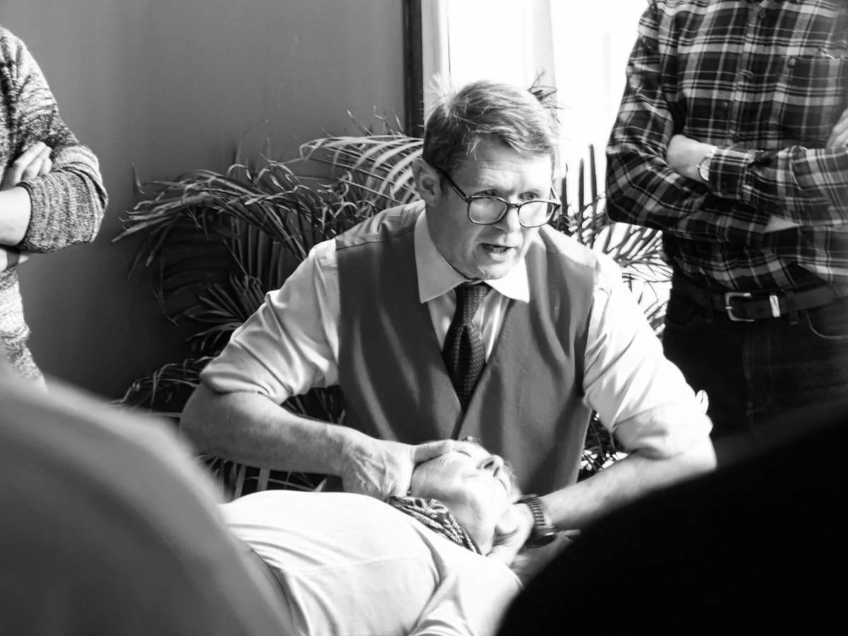 Brain Based Chiropractic: The Big Idea- Gloucestershire