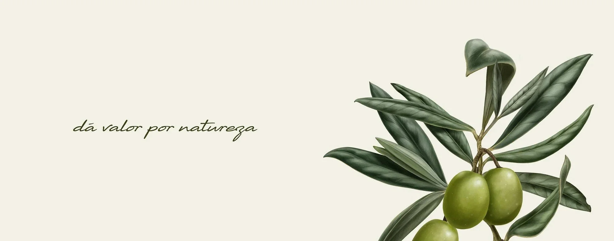 An image of The Float House.