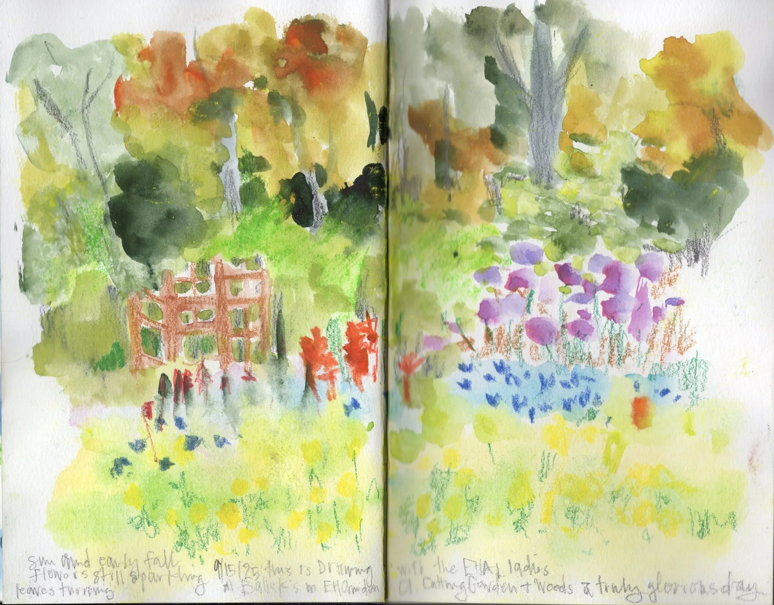 Watercolor painting of a garden scene with trees, flowers, and a structure, with handwritten notes at the bottom. Nancy DeNicolo watercolor nature journaling mixed media art therapy