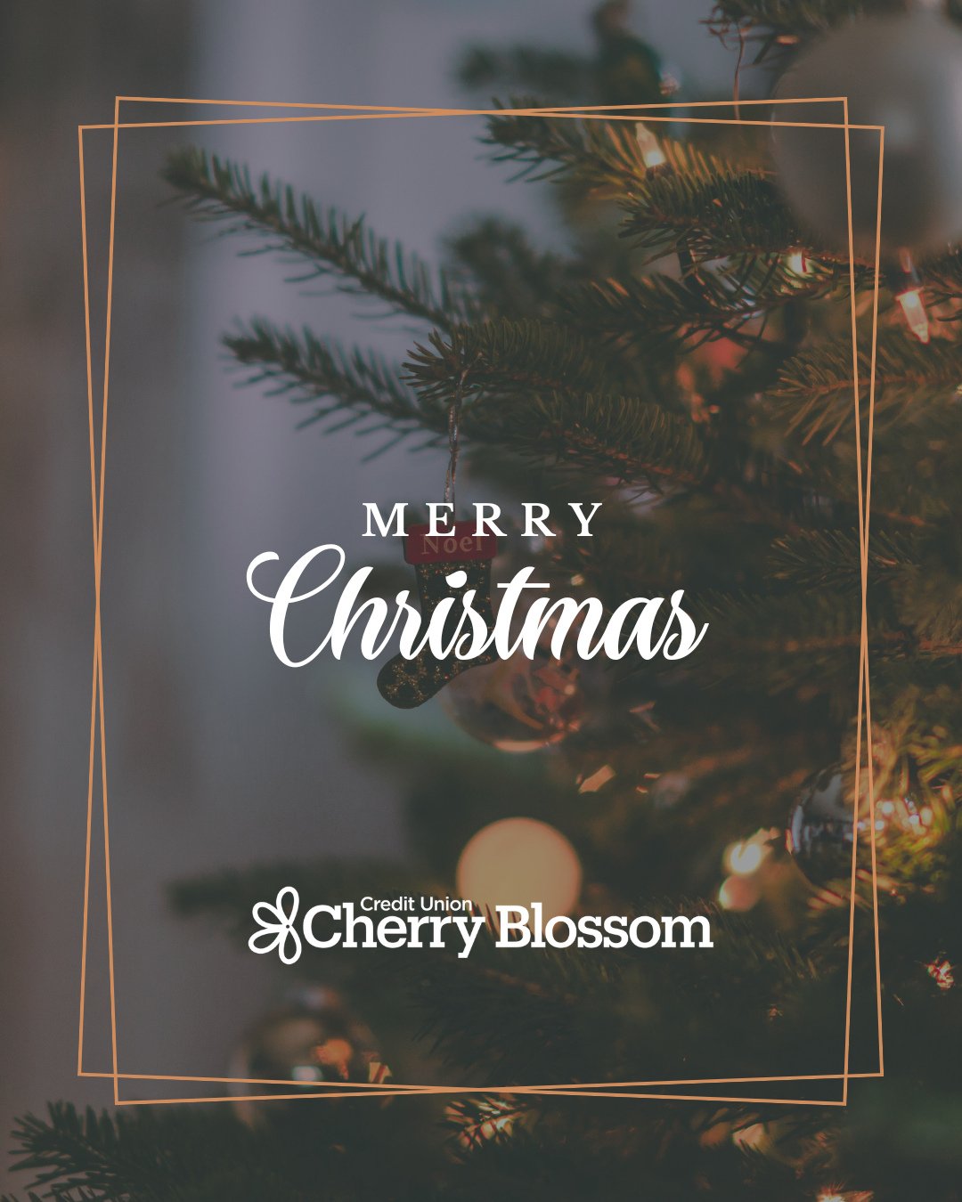 🎄🎁 🎅🏻 Merry Christmas from Credit Union Cherry Blossom!