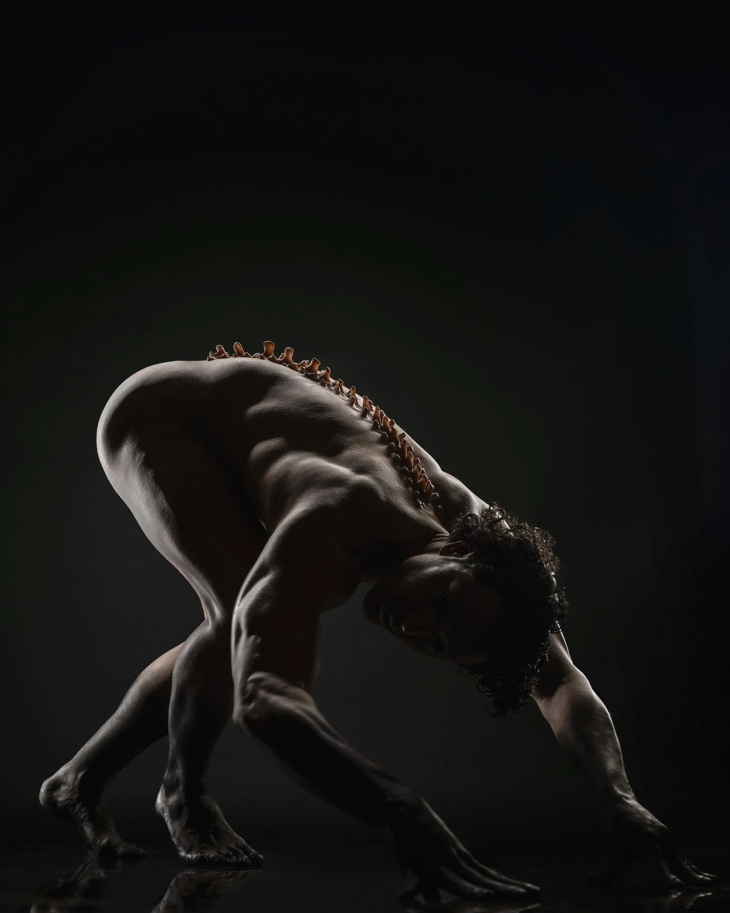A nude person with a curly hairstyle in a crouched, crawling position against a black background, with dramatic lighting highlighting the contours of their back and limbs.