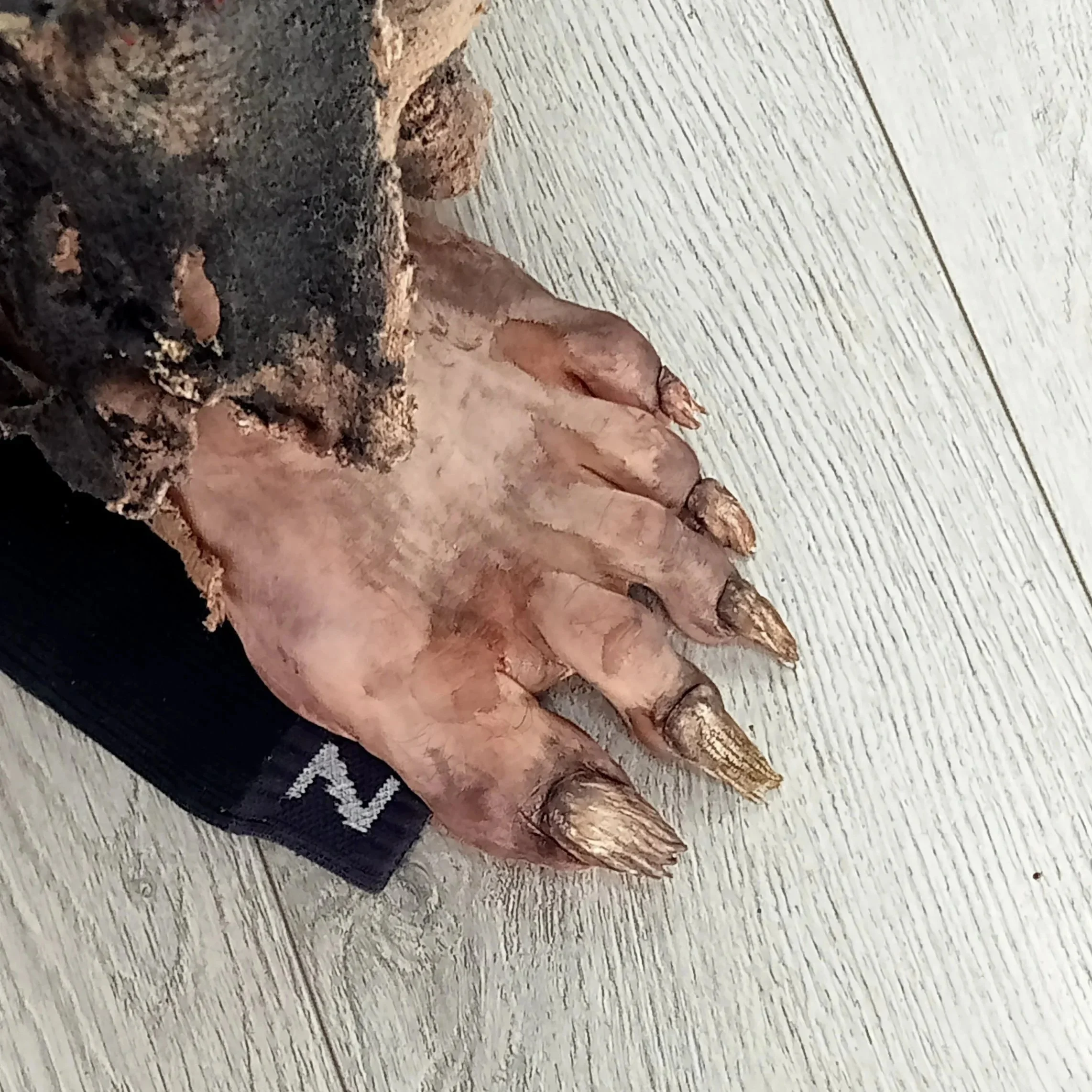 A creature with human-like fingers and long, sharp nailed claws, partially covered in dirt and soil.