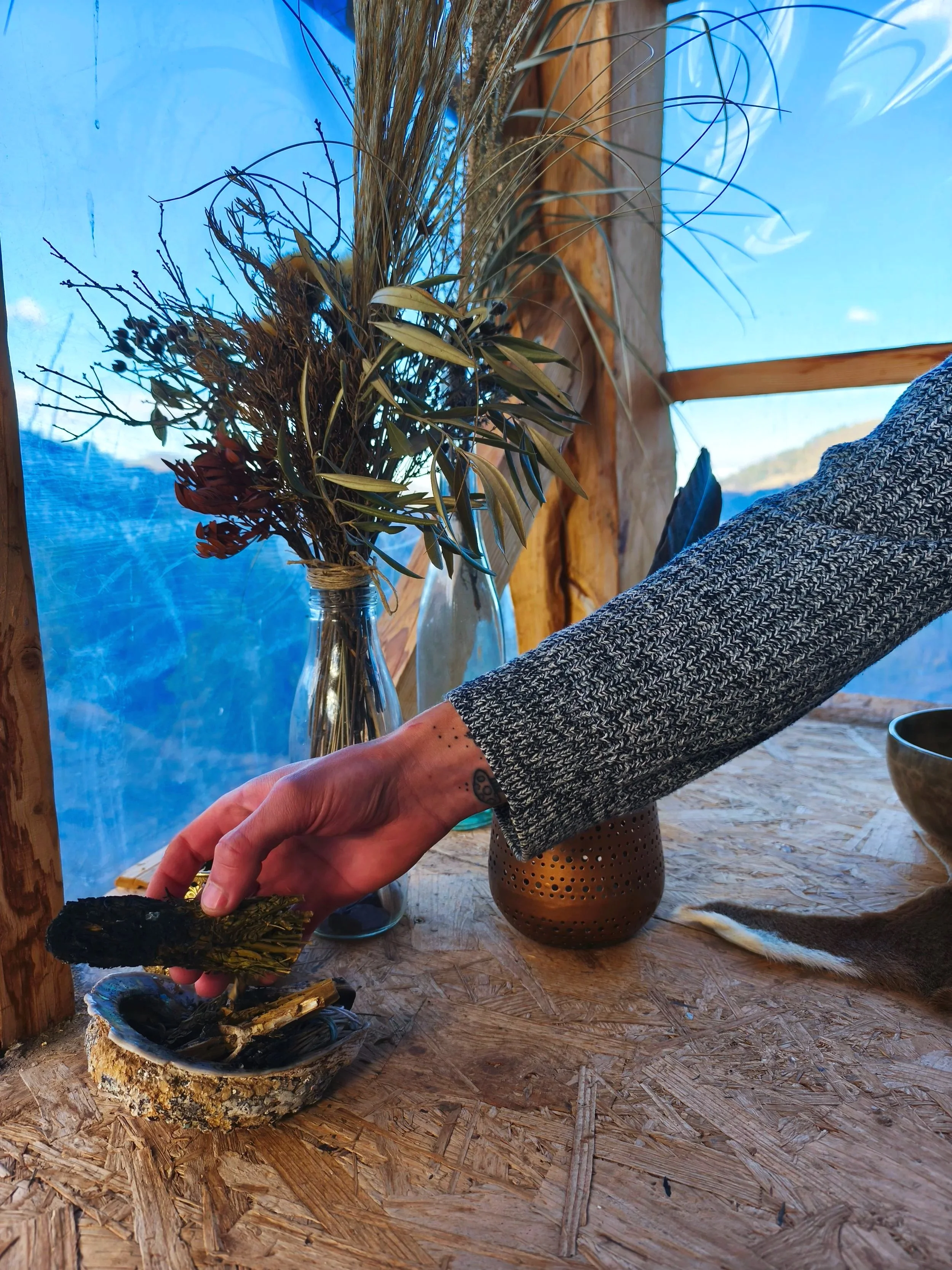 Eine Hand hält ein Stück getrockneten Seetang über einer Muschelschale mit weiteren Muscheln. Im Hintergrund sind getrocknete Pflanzen in Glasvasen, auf einem Holz Tisch, vor einem Fenster mit Blick nach draußen.