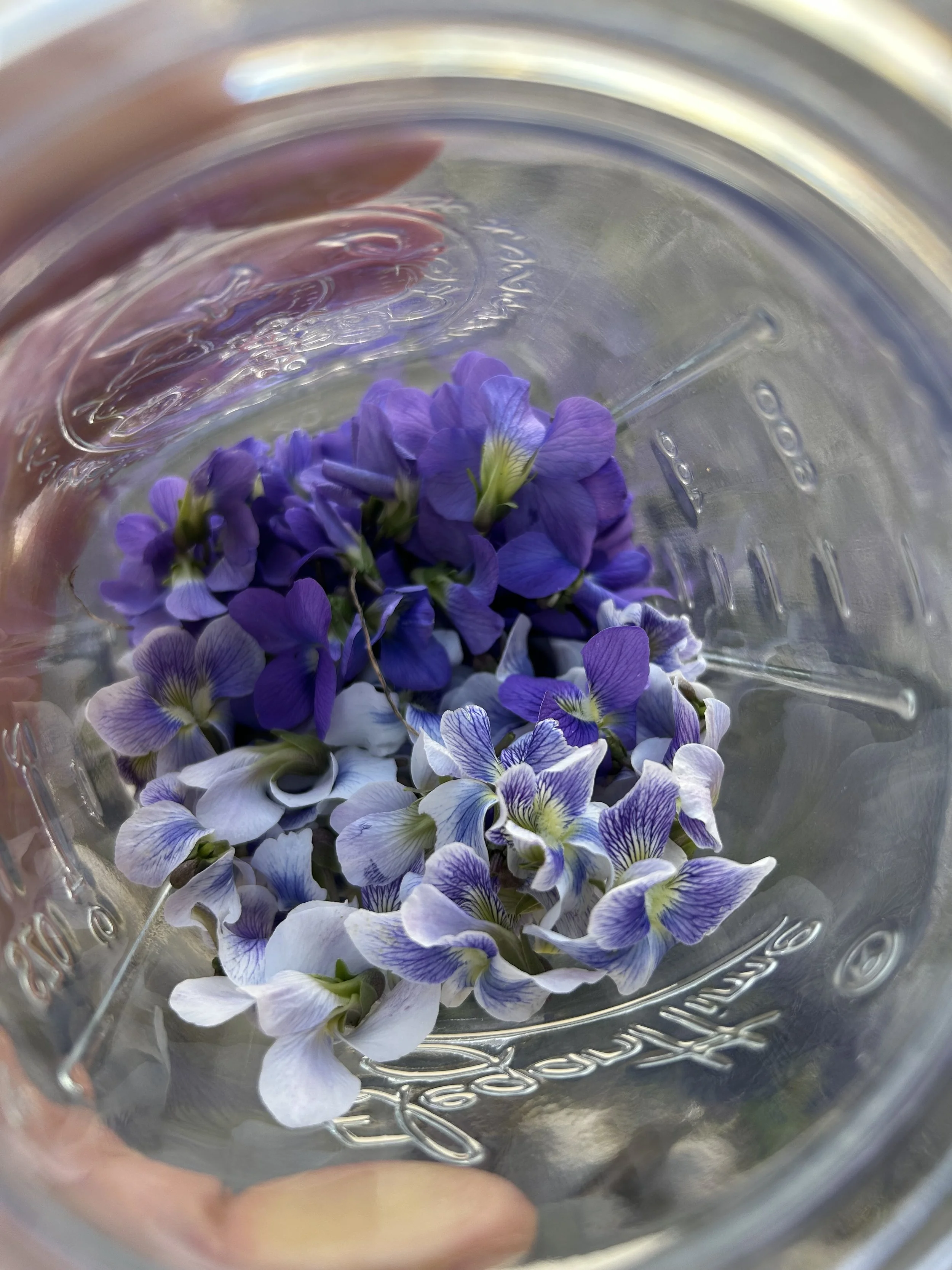 Purple and white flower petals inside a clear glass jar viewed from above.