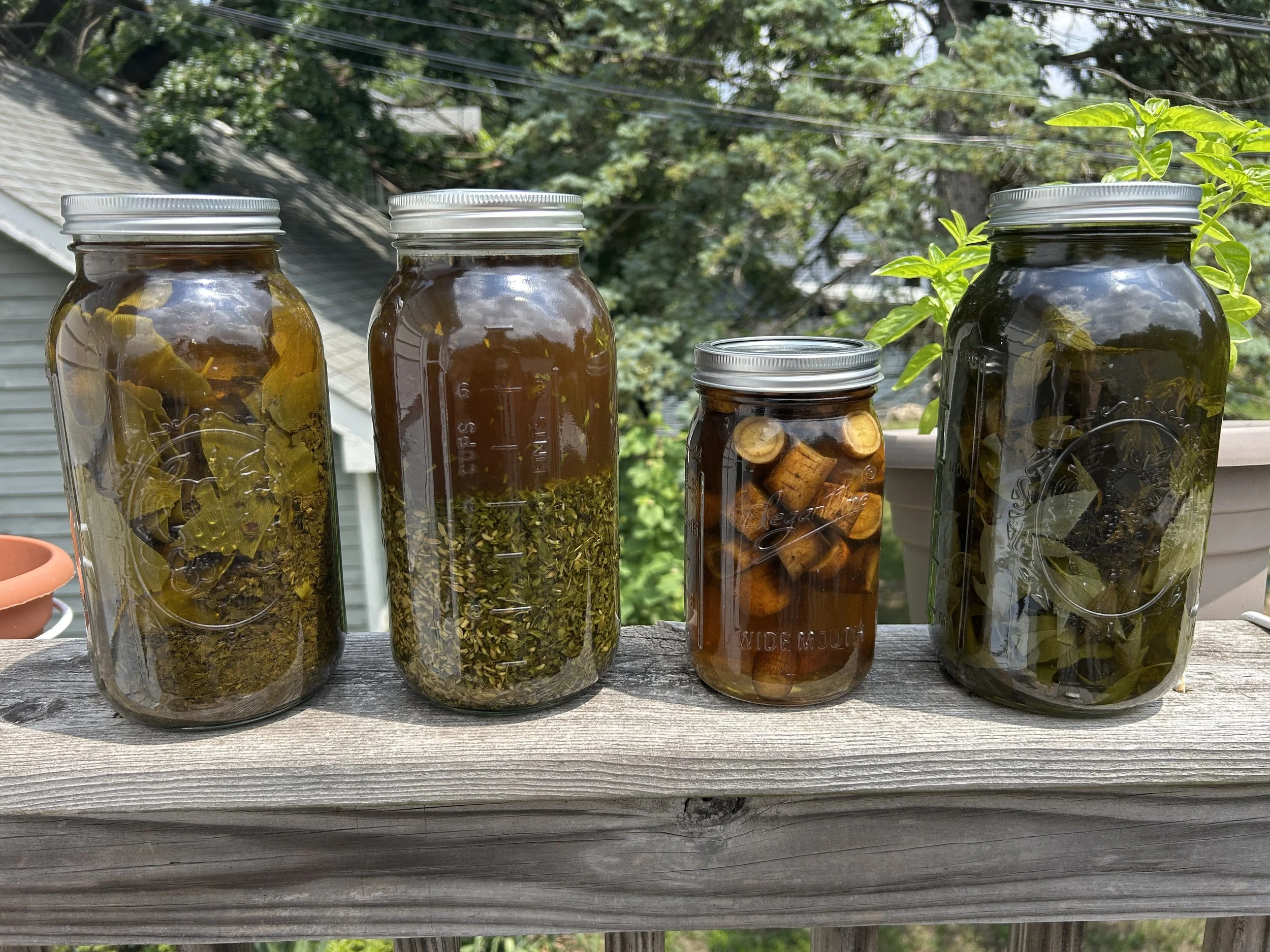 Four glass jars with metal lids on a wooden railing, containing preserved herbs, flowers, and liquids, set outdoors with trees and rooftops in the background.