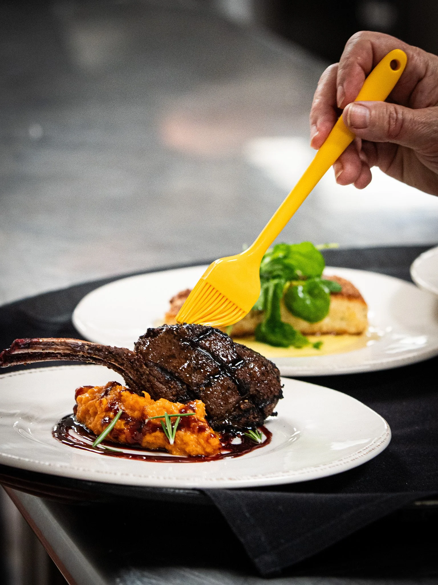 New Zealand Red Deer 3.jpg