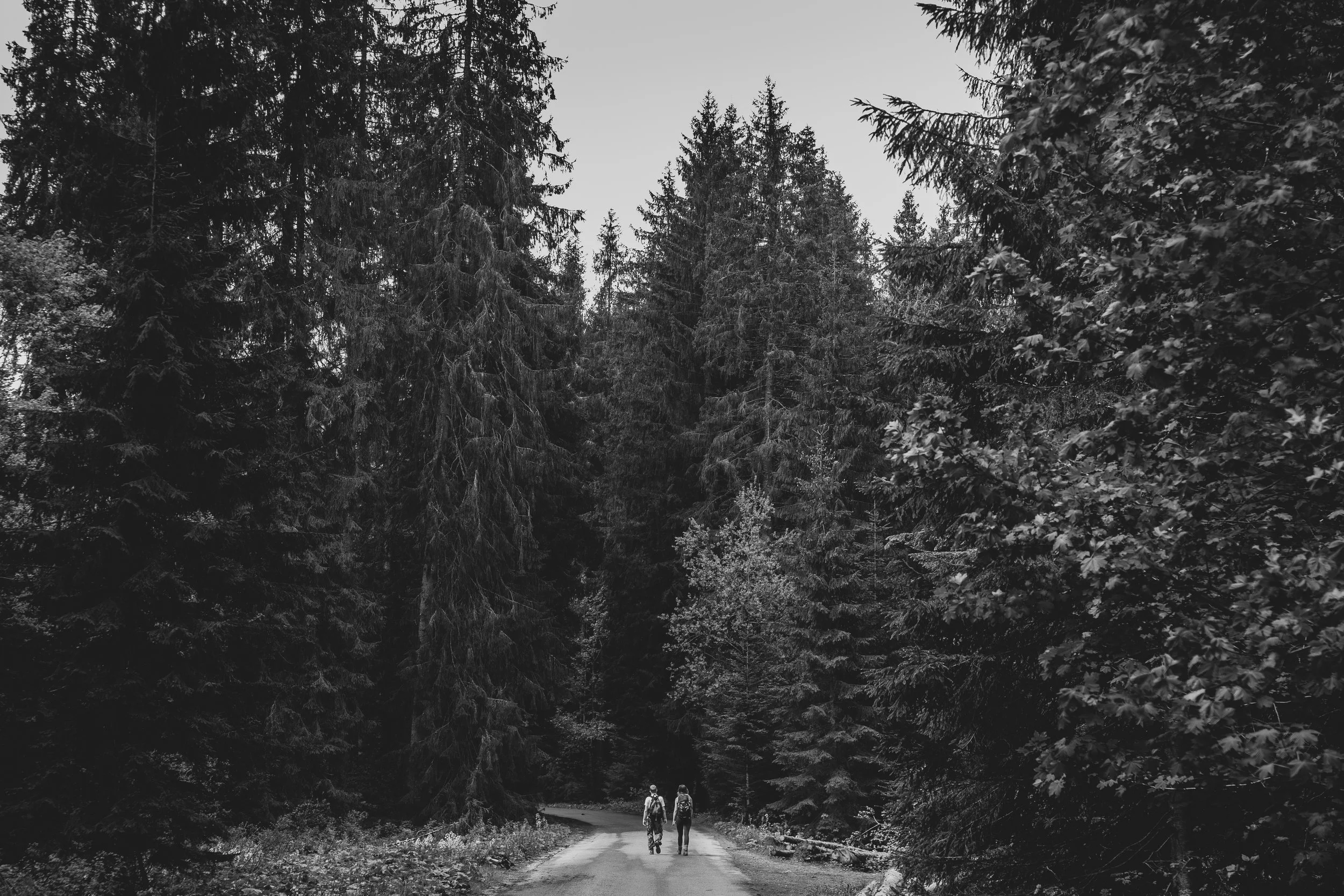 Przytłaczający ogrom natury