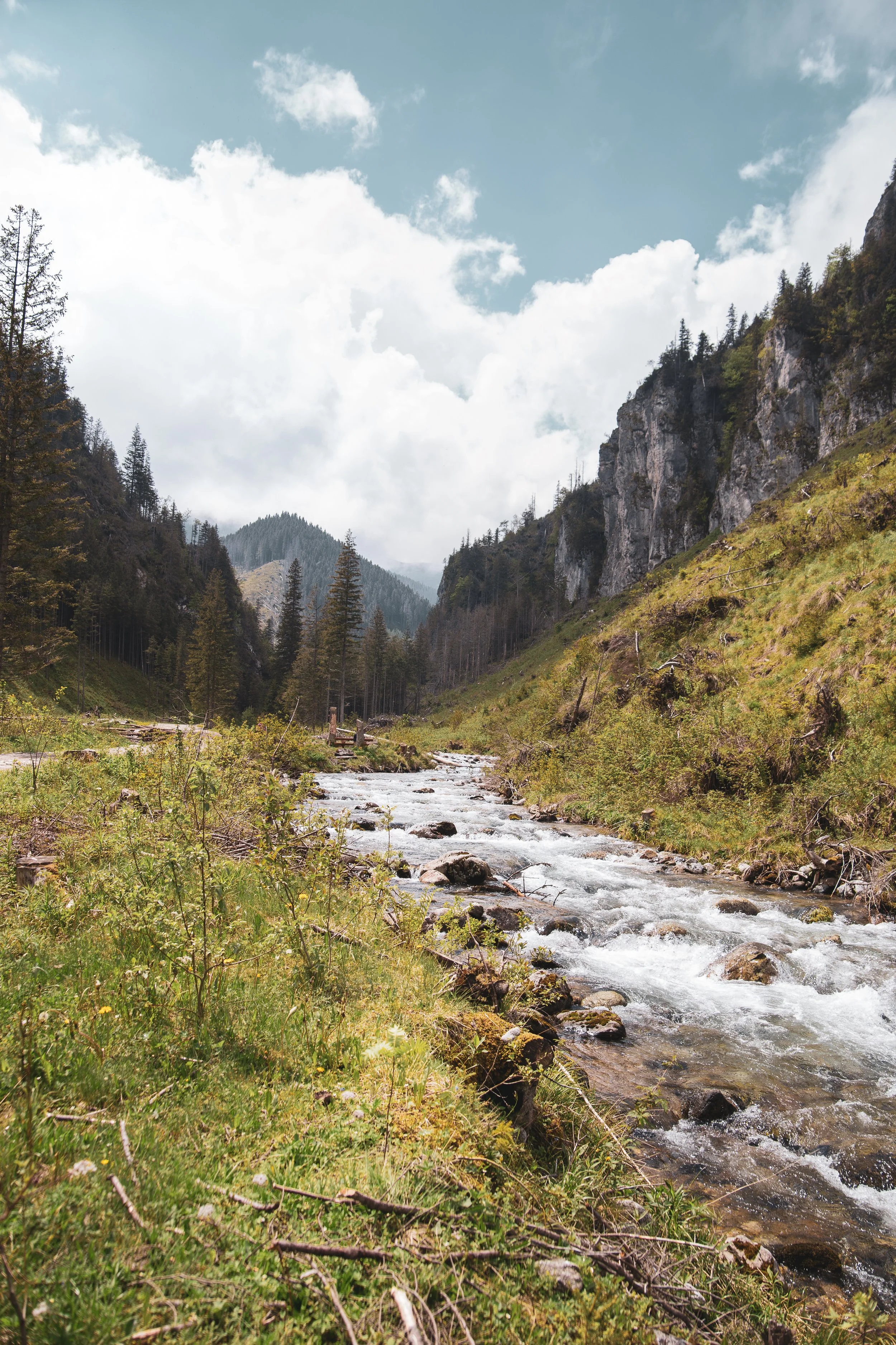 Jedyna droga, to do przodu