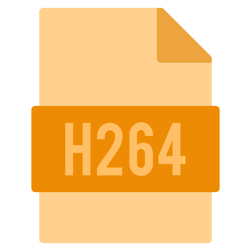 Icon of a file with a label 'H264' indicating video image compression format.