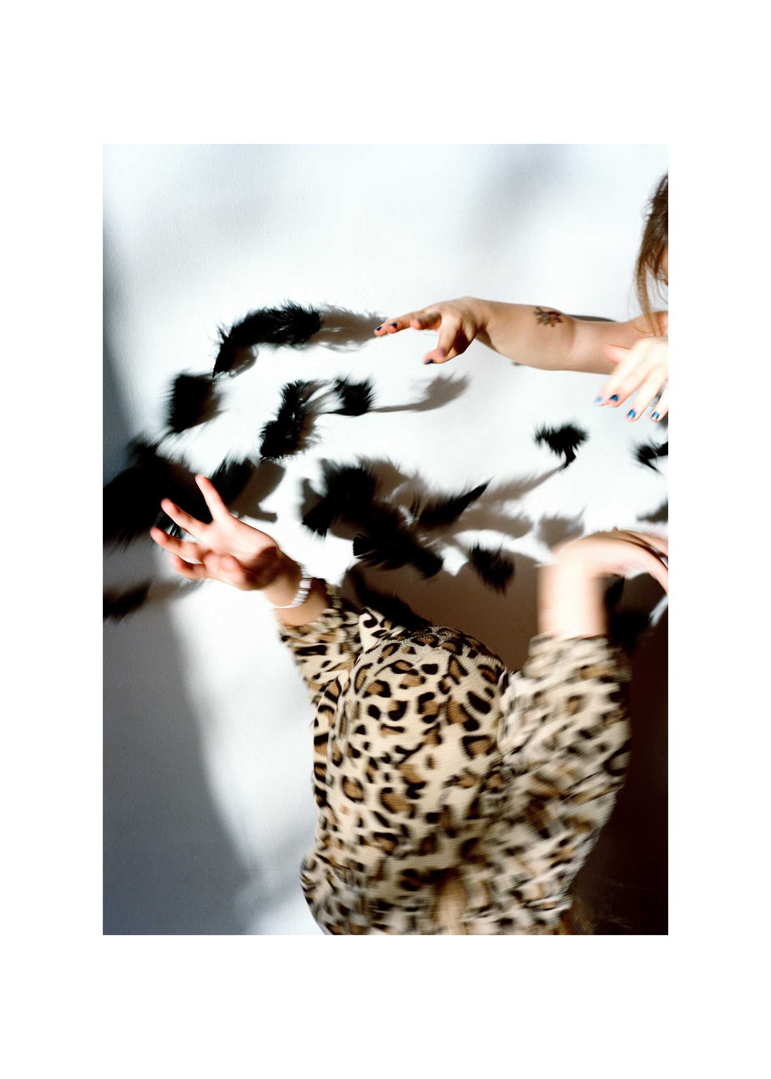 LEOPARD FEATHERS.png
