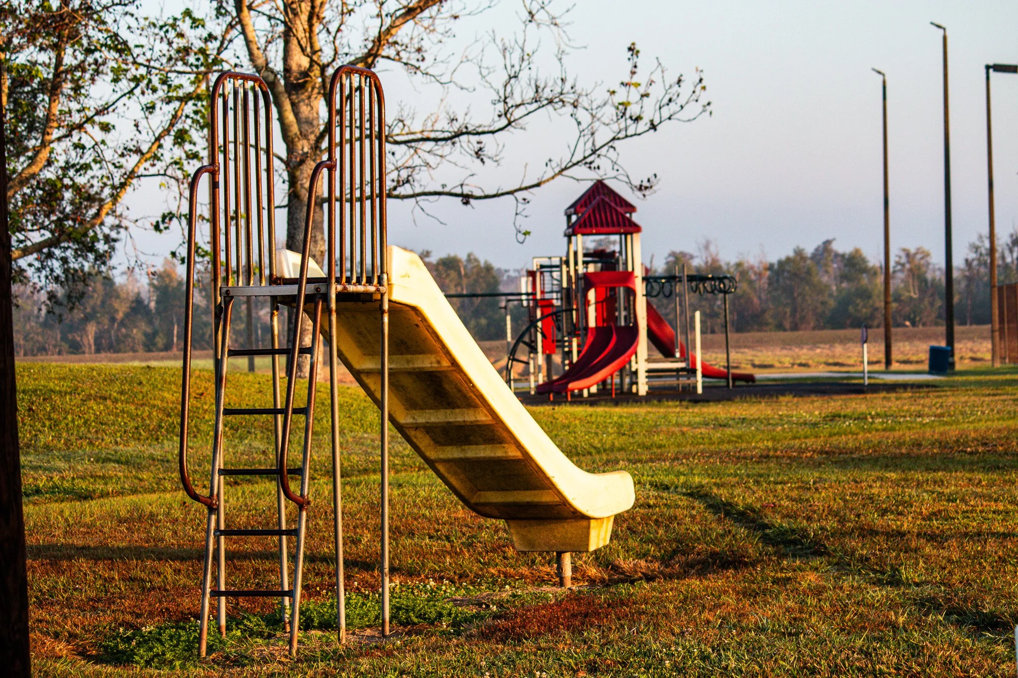 Return Trip - Regala Park