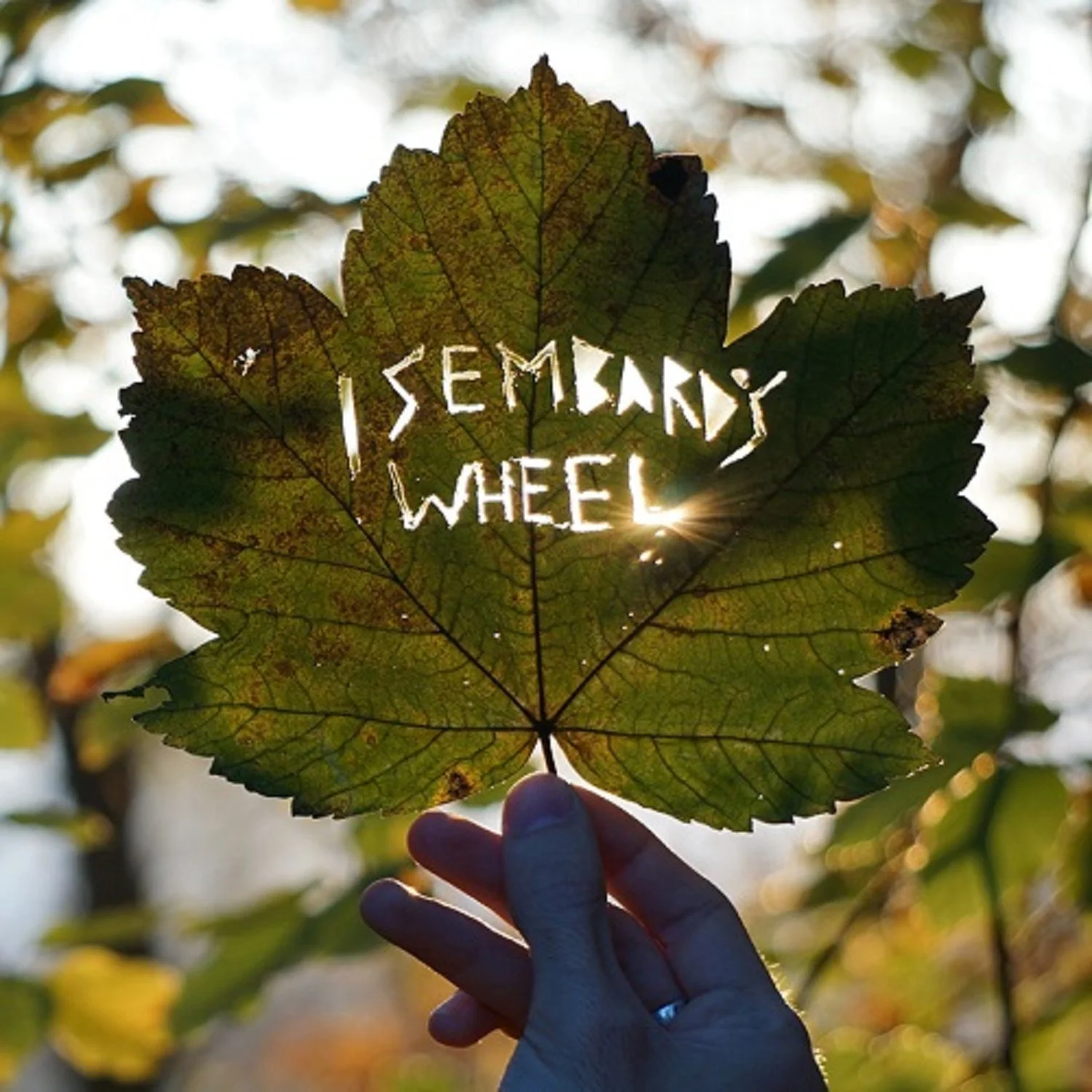 A hand holding a large green leaf with the words "I SEMIARY WHEEL" cut out of the leaf, backlit by the sun shining through.