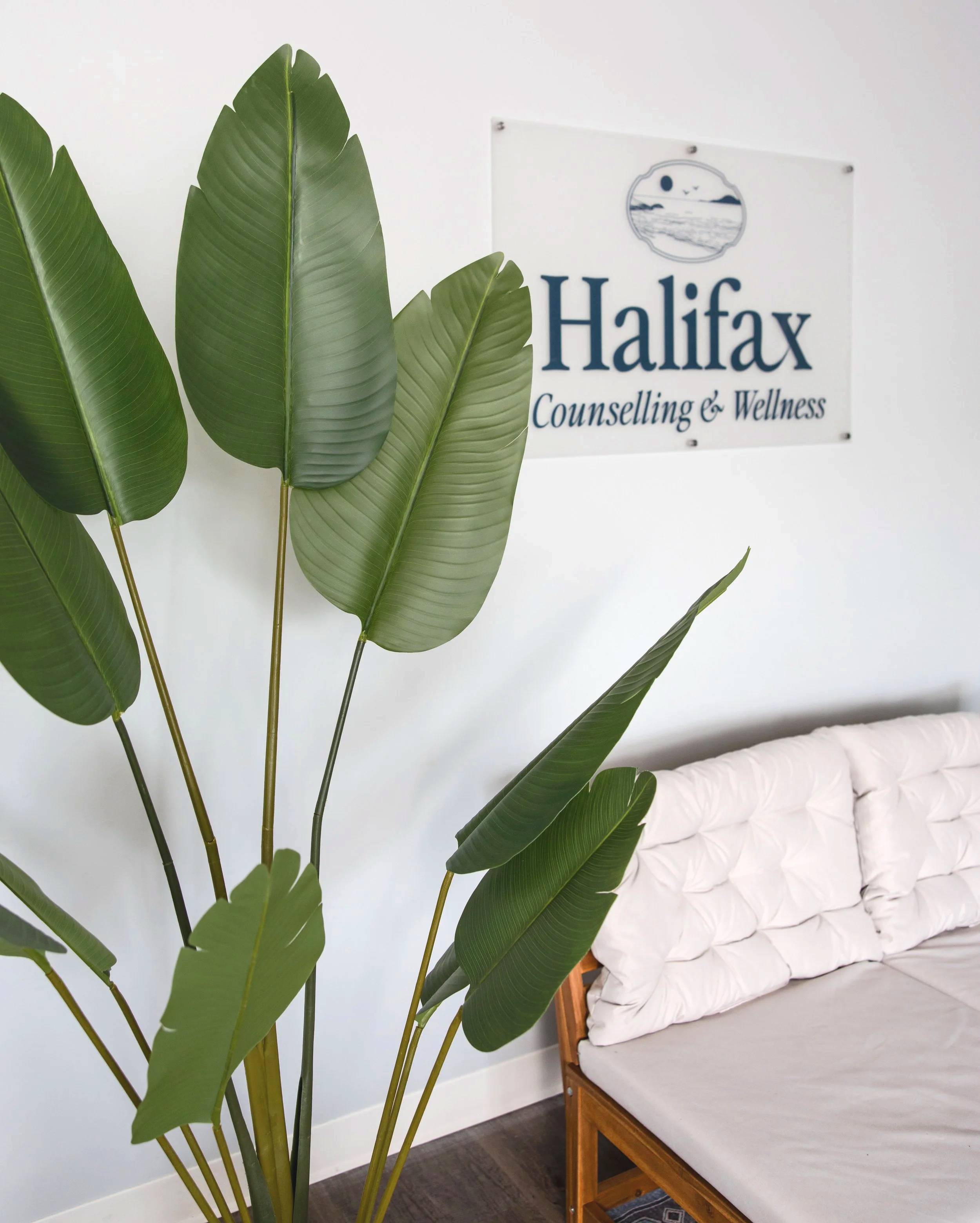 Interior view of Halifax Counselling & Wellness with a large green tropical plant, a white cushioned bench, and a sign on the wall with the business name and logo.