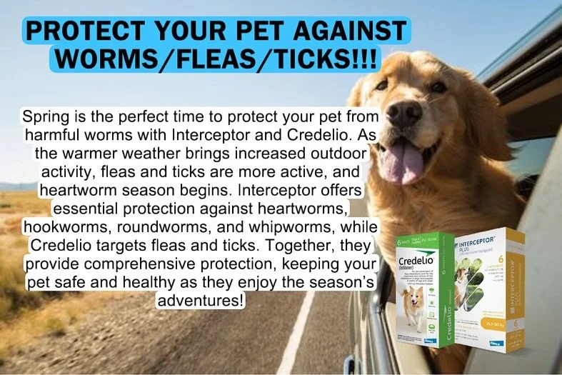 Spring is here, and it&rsquo;s time to protect your pet from worms and parasites! 🐾 Give us a call, and we&rsquo;ll hook you up with the dewormer you need&mdash;NO appointment needed! Keep your pet safe and healthy this season. 📞🐕 #PetCare #WormPr