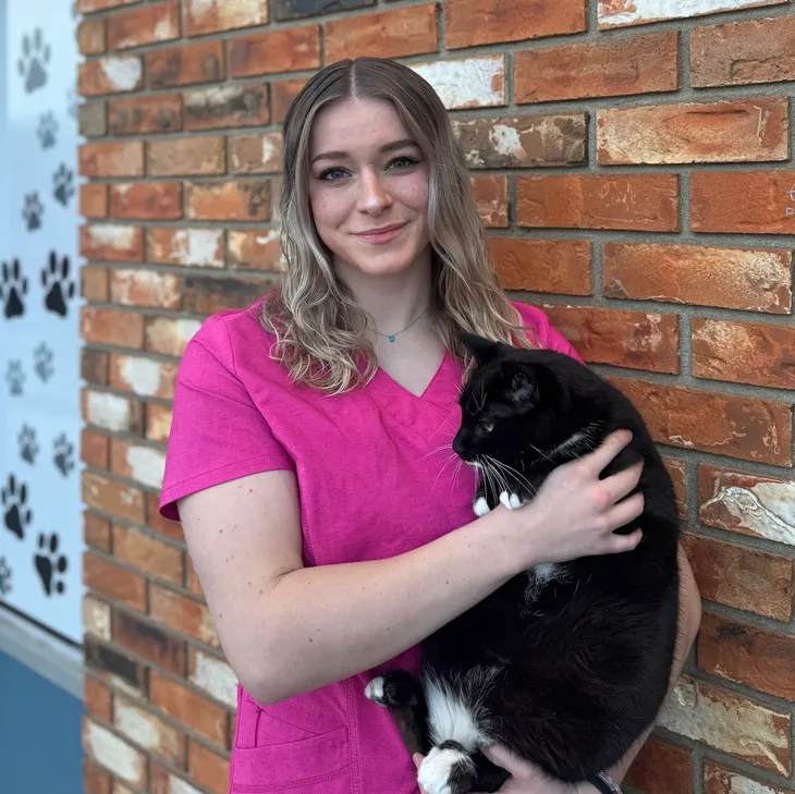 A young woman in pink scrubs holding a black and white cat in front of a brick wall.