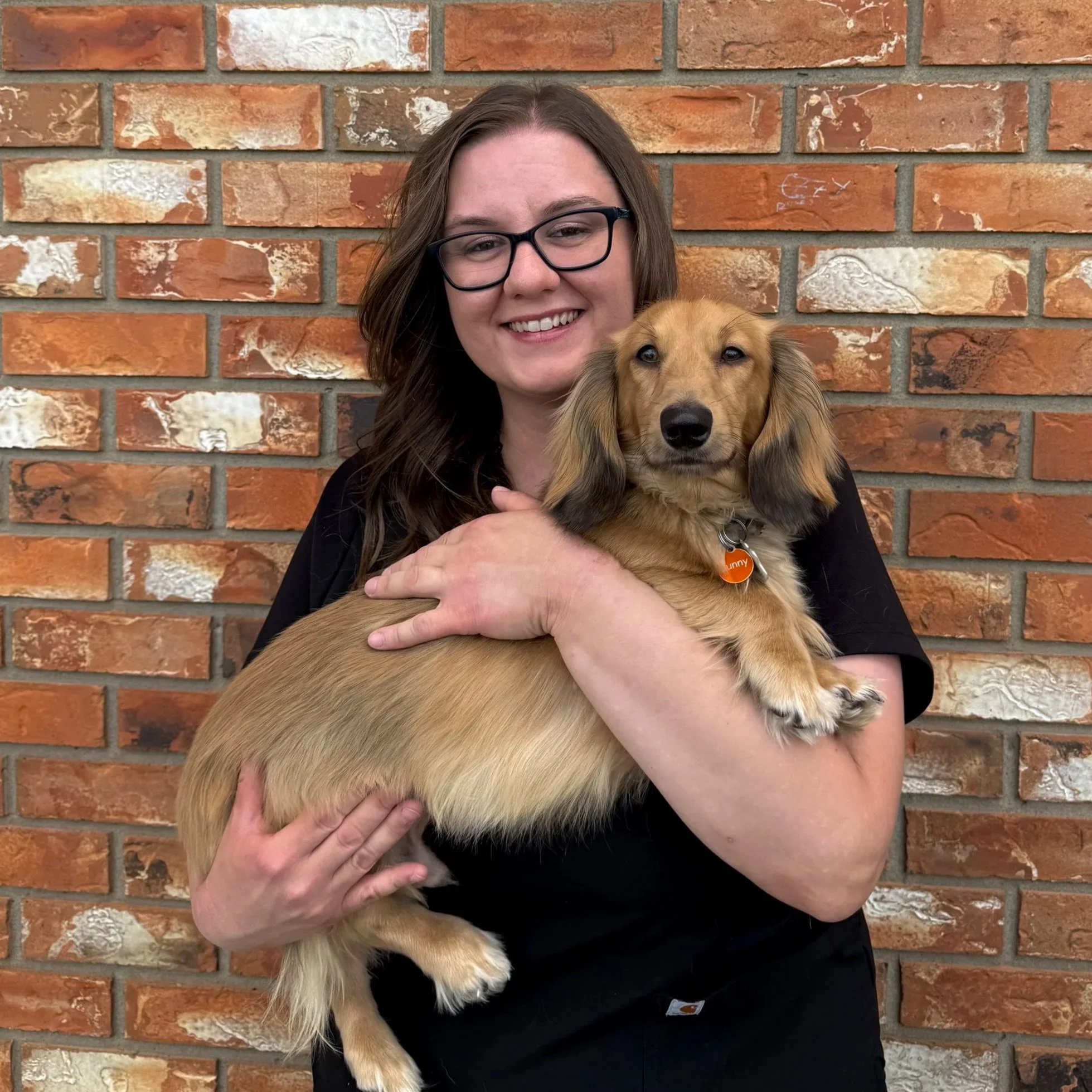 A woman with glasses holding a small, fluffy dog with white and black fur in front of a brick wall.