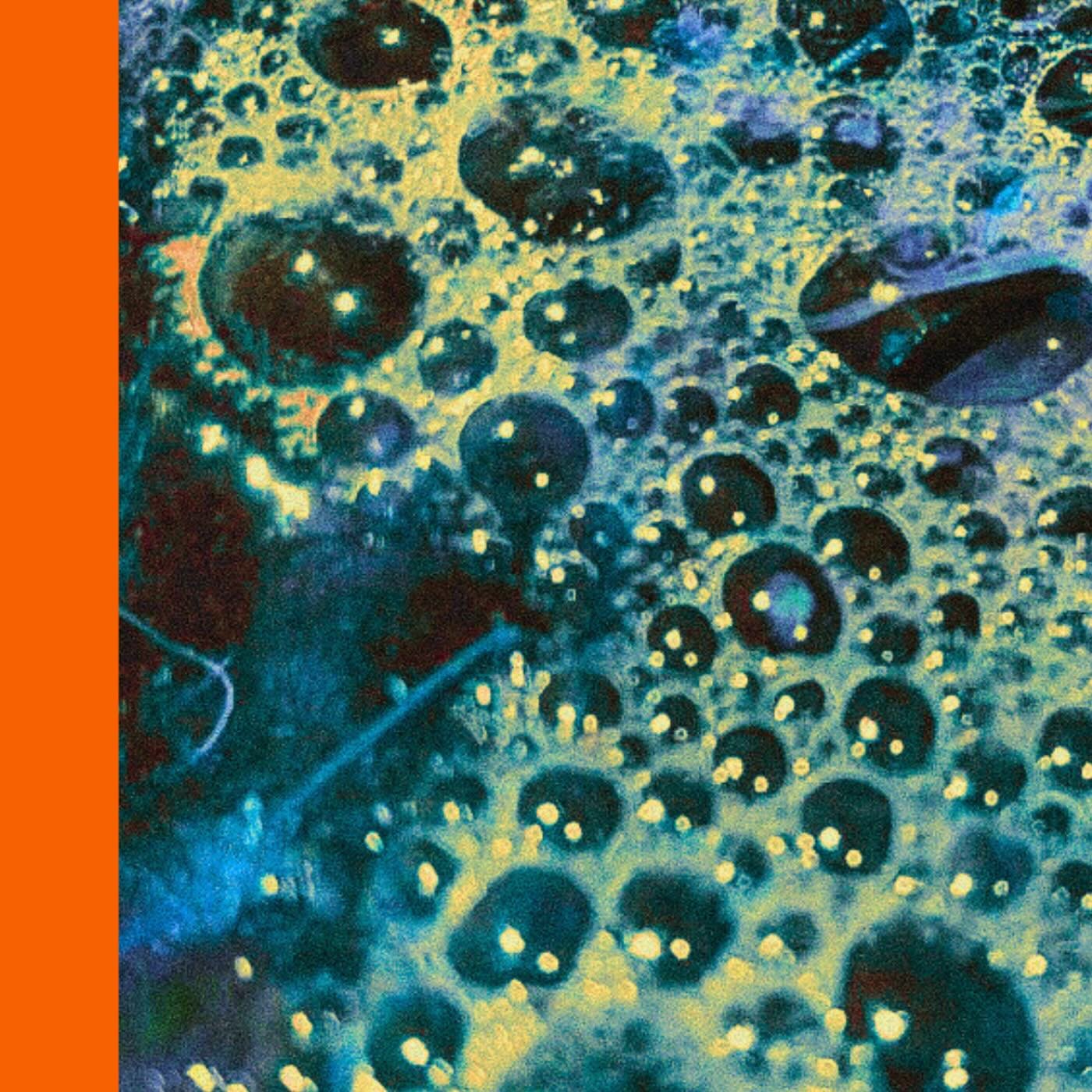 Yesterday @fourmoreshapes released our album called &ldquo;Foam!&rdquo;
I would like to share it with you guys as it has been my life&rsquo;s work the past couple years.
Releasing it puts the cap on an era I will cherish my whole life. My first ever 