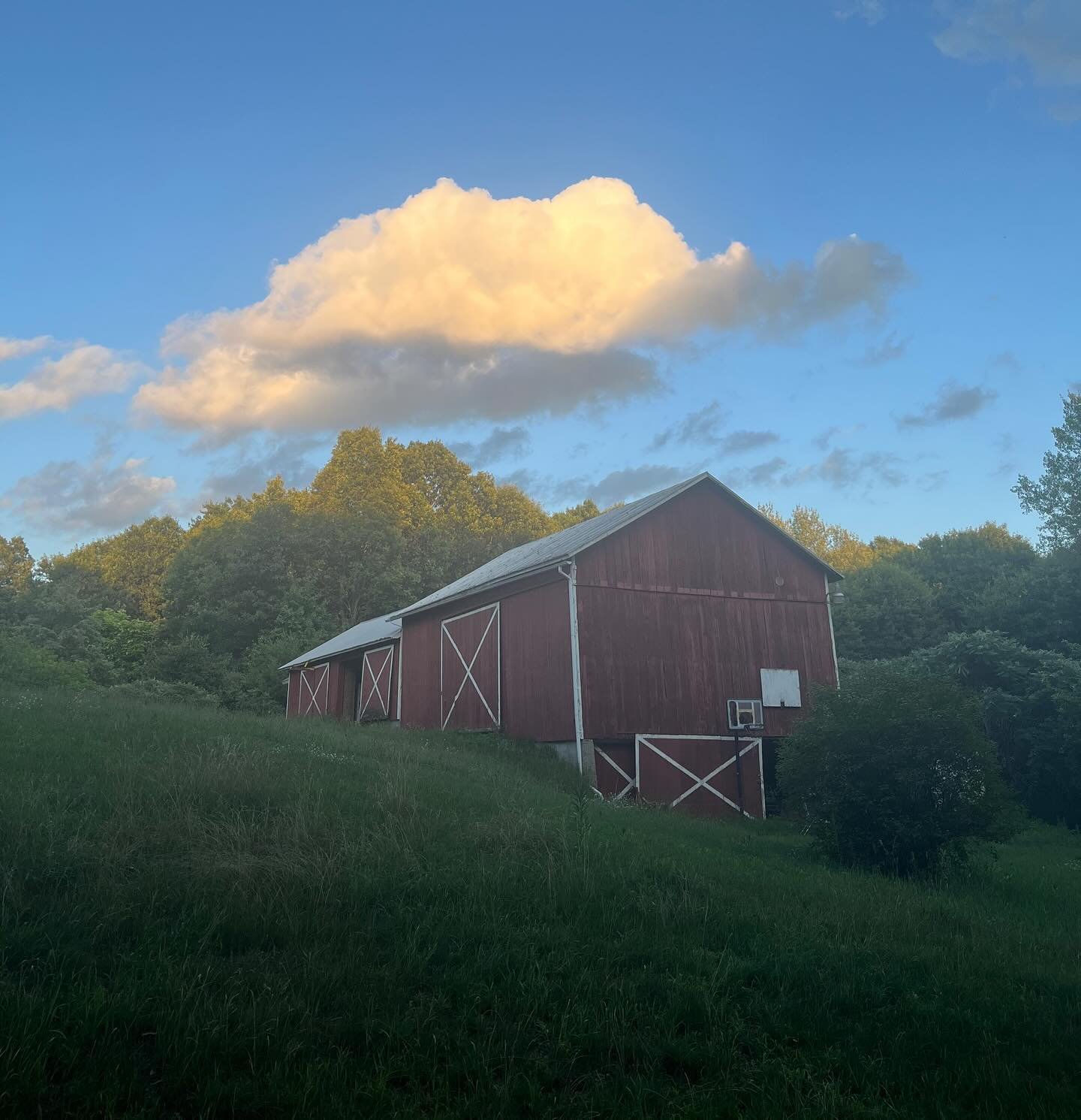 So thankful for this globily gloop of life
So many fun times and beautiful people I will cherish forever
Just keep ridin🥸
And also maybe follow my lovely band @fourmoreshapes