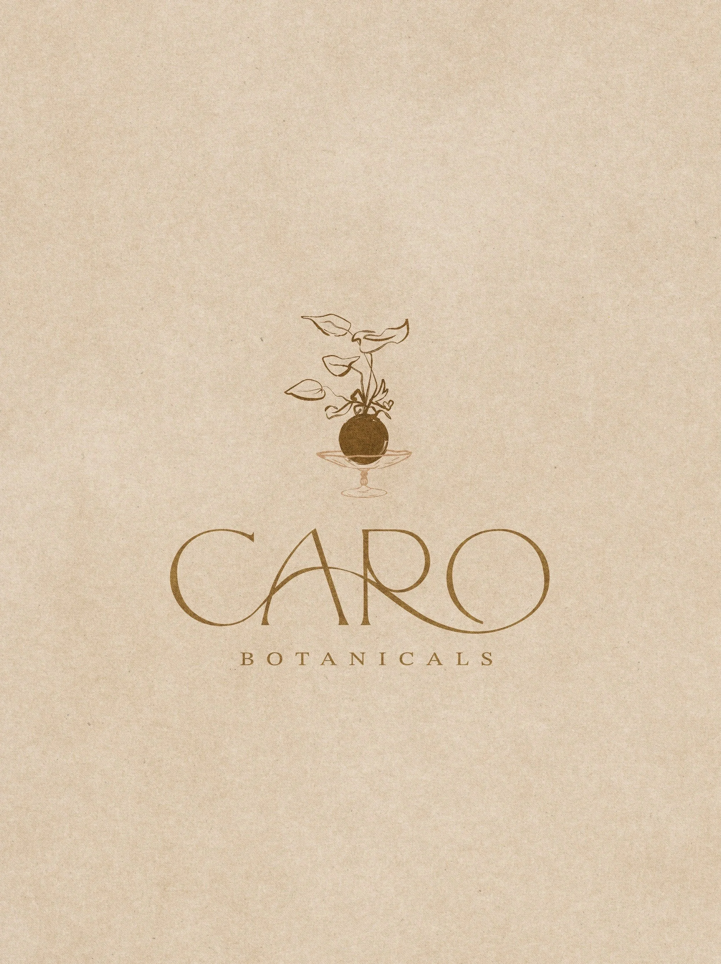 Logo for Caro Botanicals with a simple illustration of a plant in a brown vase, above the text 'CARO' in artistic font and 'BOTANICALS' in smaller uppercase letters.