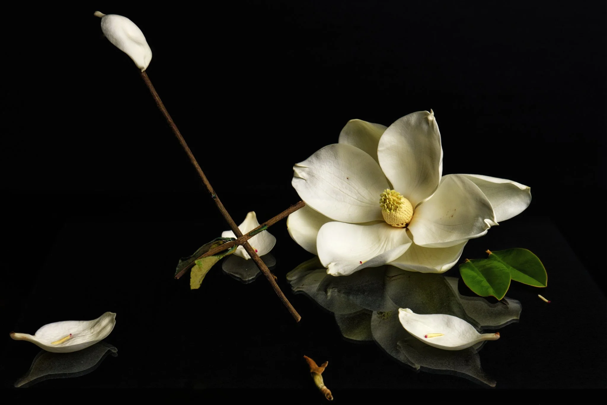 The Vanishing Reflection