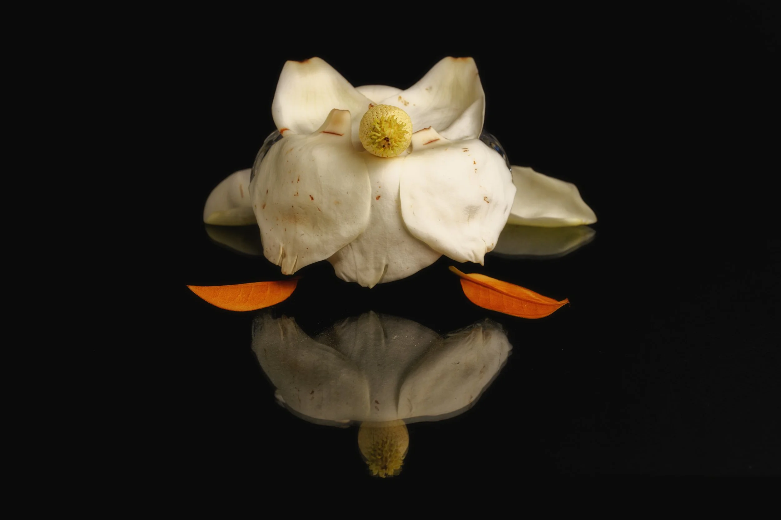 Symmetry in Fragility