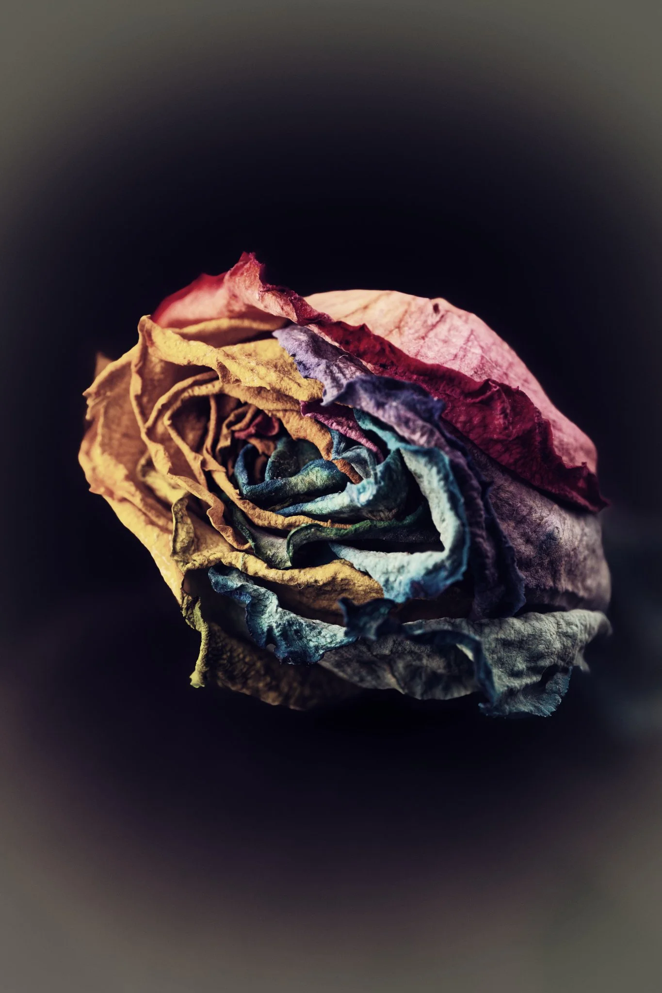 Weathered Grace