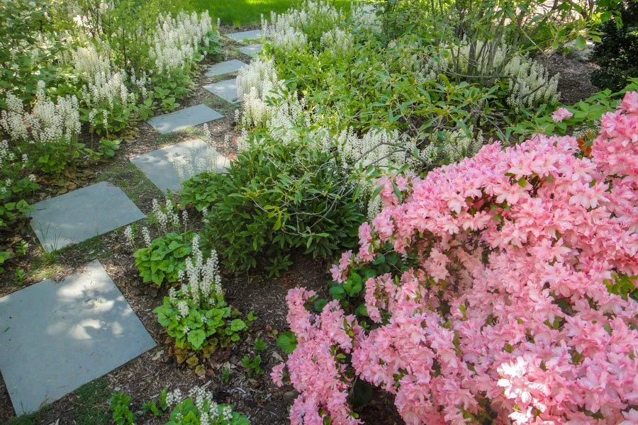 Blooming springtime perennials and shade tolerant shrubs with bluestone steppers 