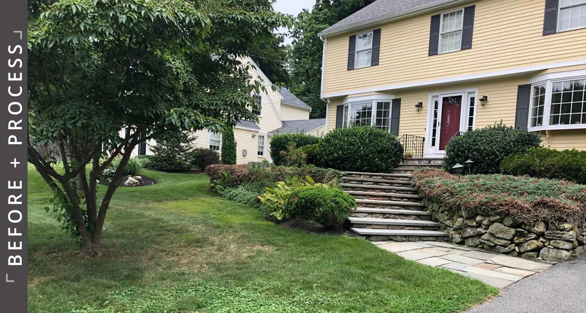 Before photo of front yard in Lexington, MA showing re-built stone retaining walls and steps with expanded flowering perennials planting beds in place of lawn and dying shrubs.