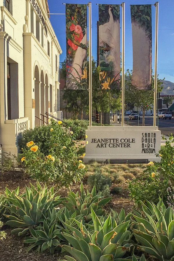 Drought tolerant native plantings at entry garden to museum