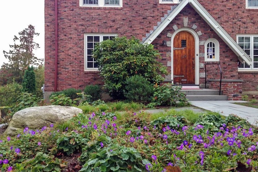  Blooming thyme groundcover between stone steppers with native plantings 