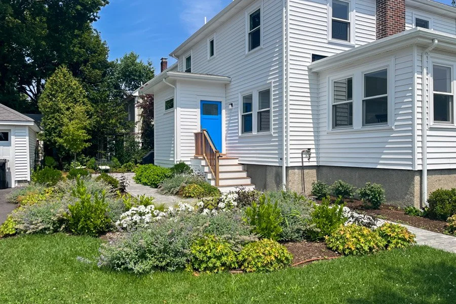  Low maintenance and rabbit resistant perennials in sunny garden 