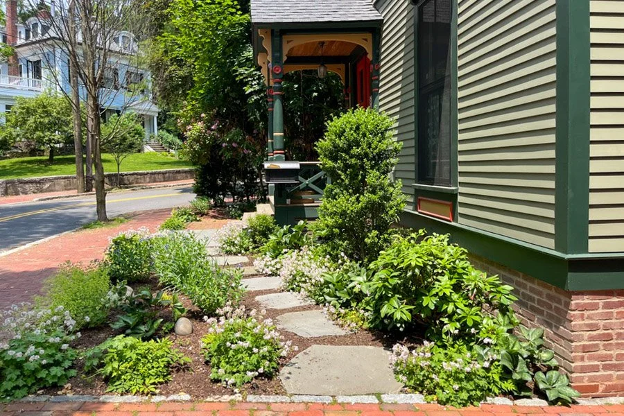  Stone steppers through evergreen shrubs and blooming rabbit resistant perennials 