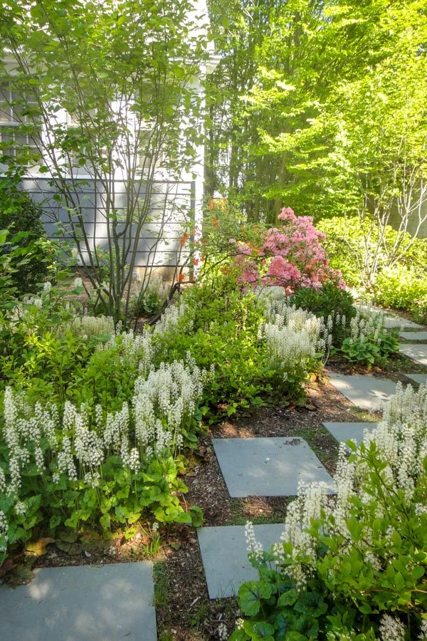 Consulting | looming perennials and a blue stone path