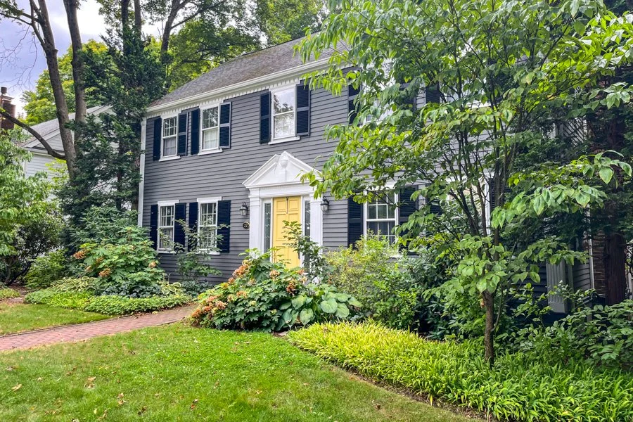  New England plants as foundation shrubs with dogwoods set in low growing perennials 