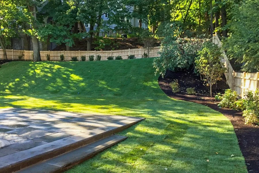  Gently sloped lawn with new shade tolerant plantings surrounding and bluestone patio 
