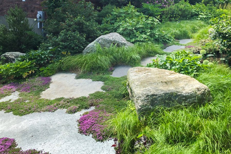  Large masses of drought tolerant perennials, seating boulders and bluestone front walk 