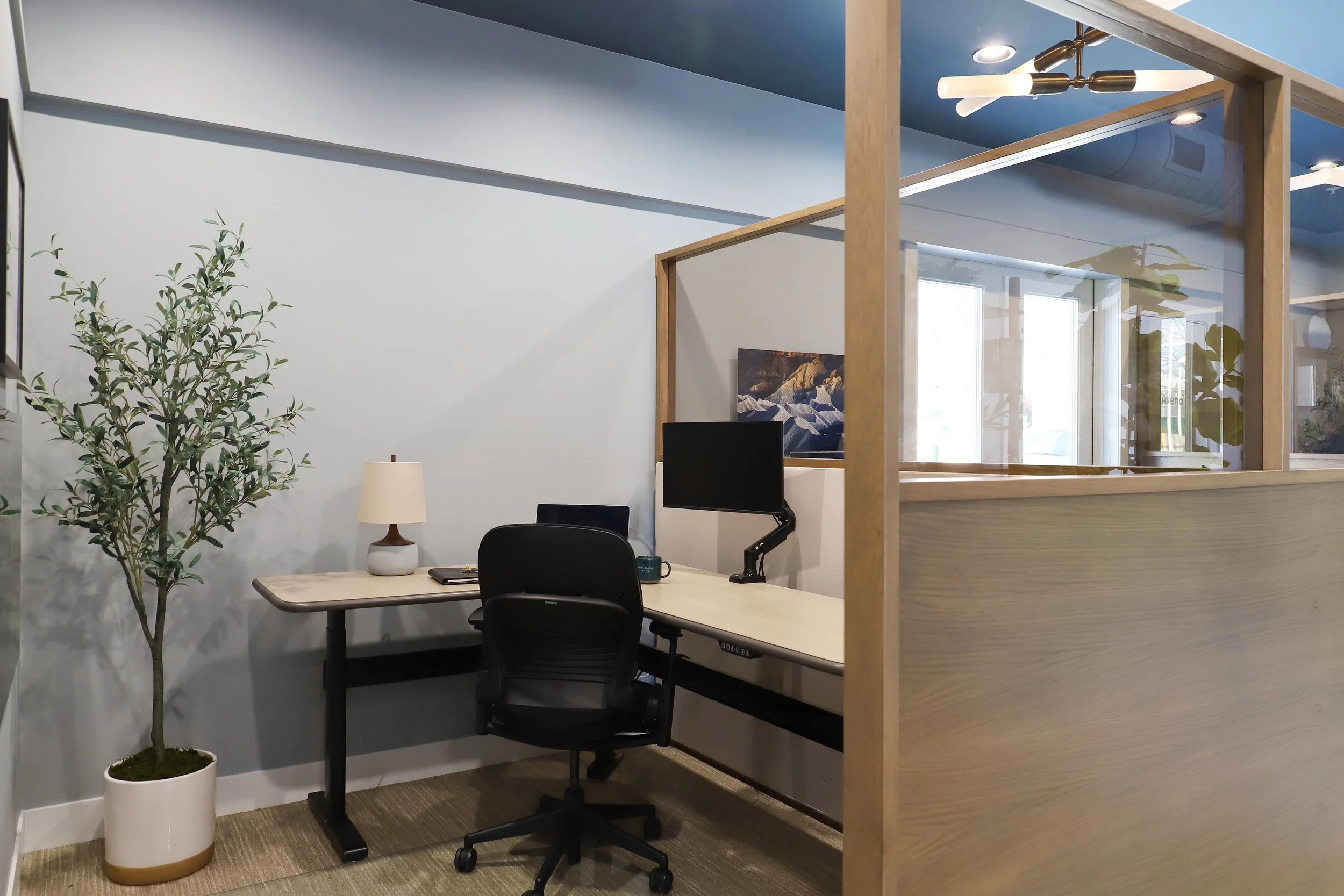 Avena_IMG_2408 web-DavidSparks.jpg