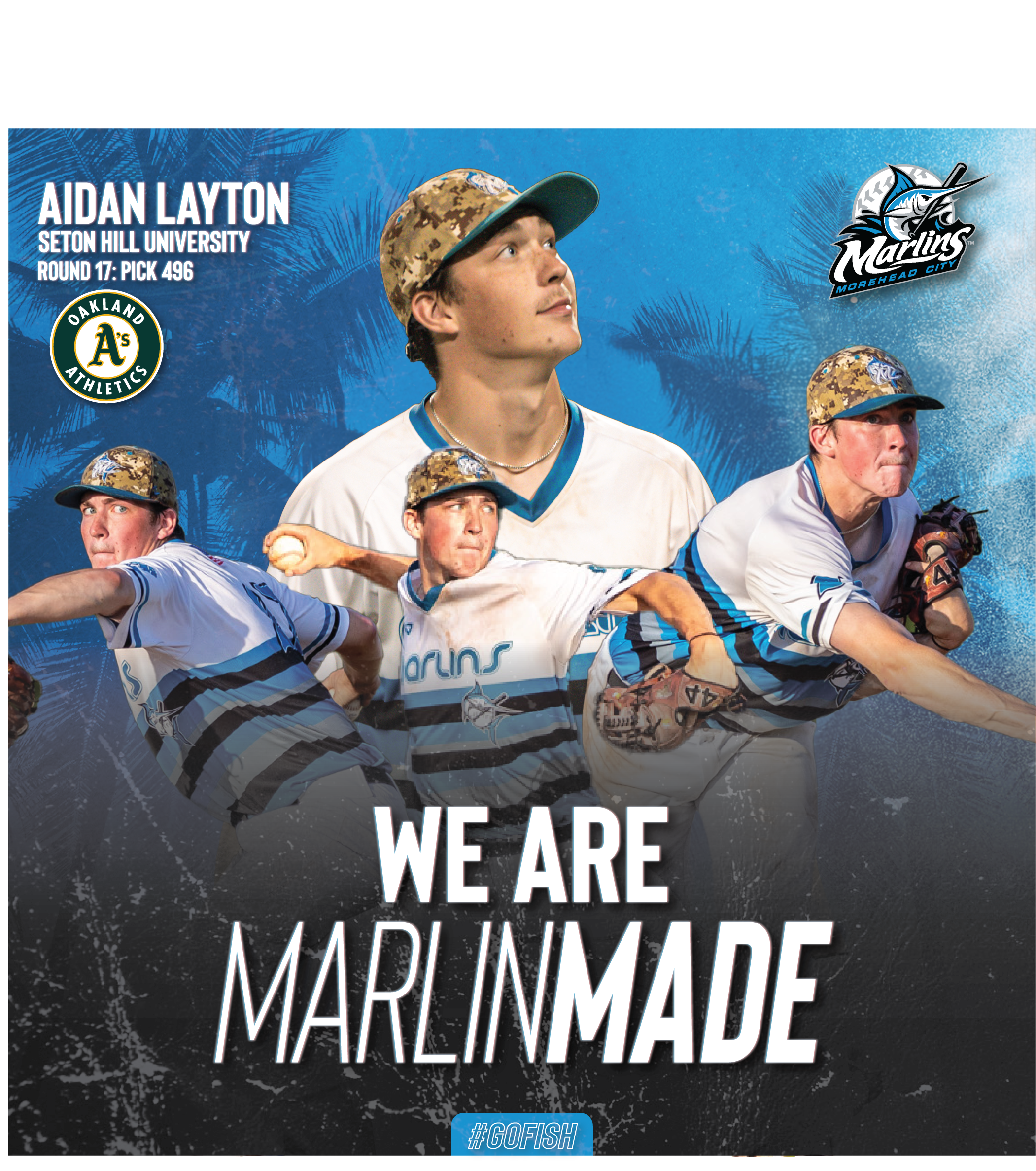 Draft Pick Graphic 2.png