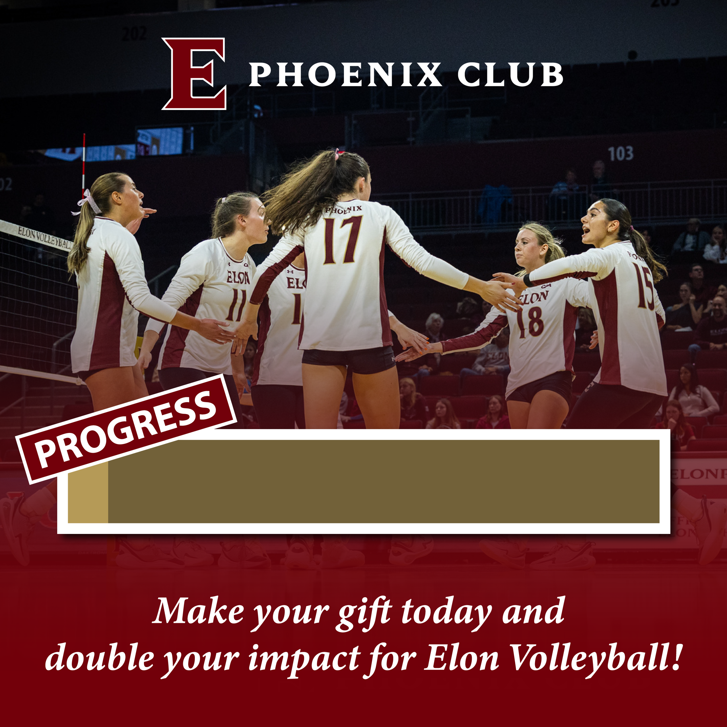 VB Progress Graphic.png